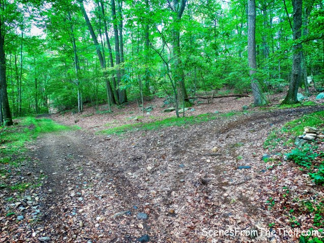 Second Reservoir Trail junction