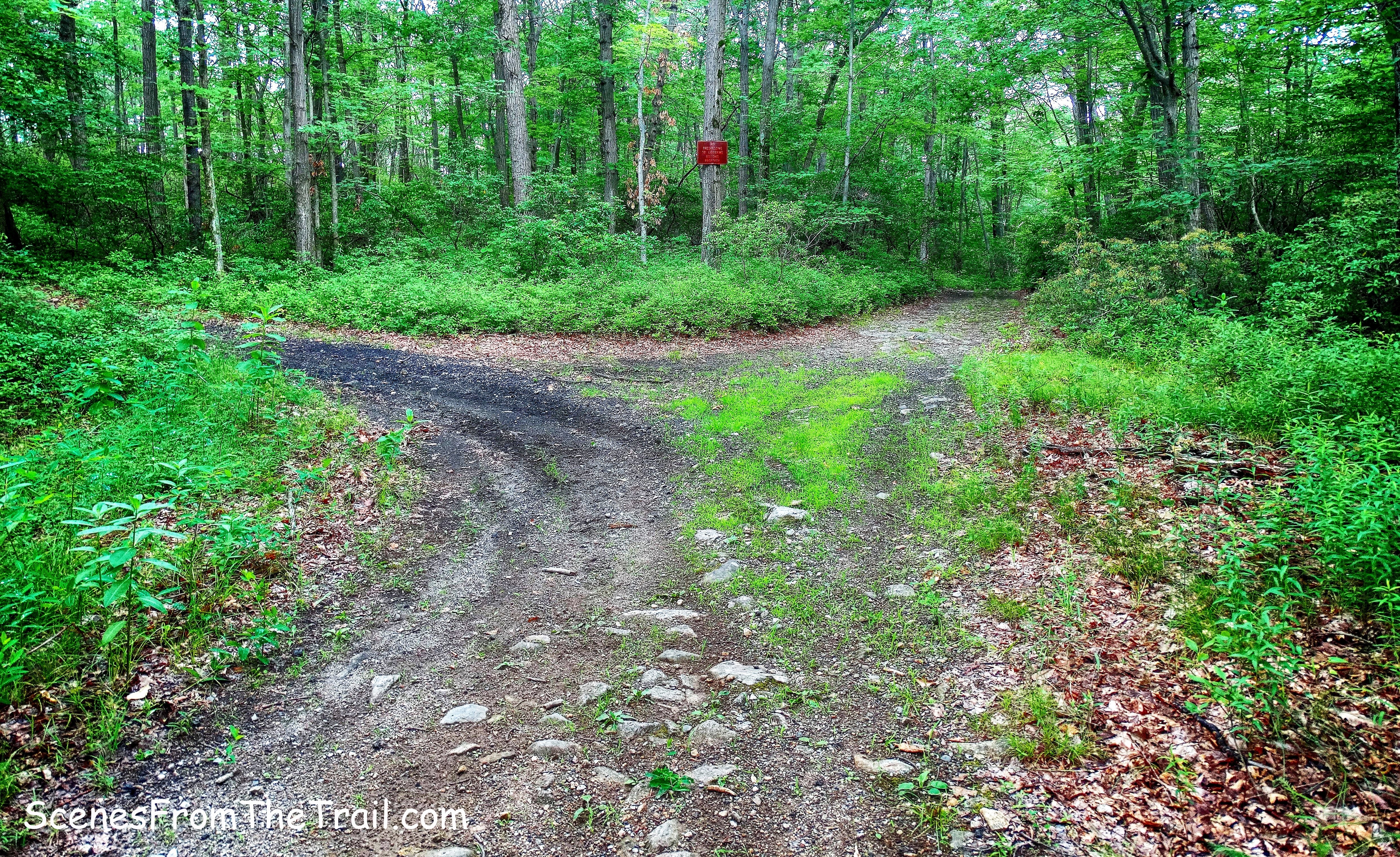 fork in the road