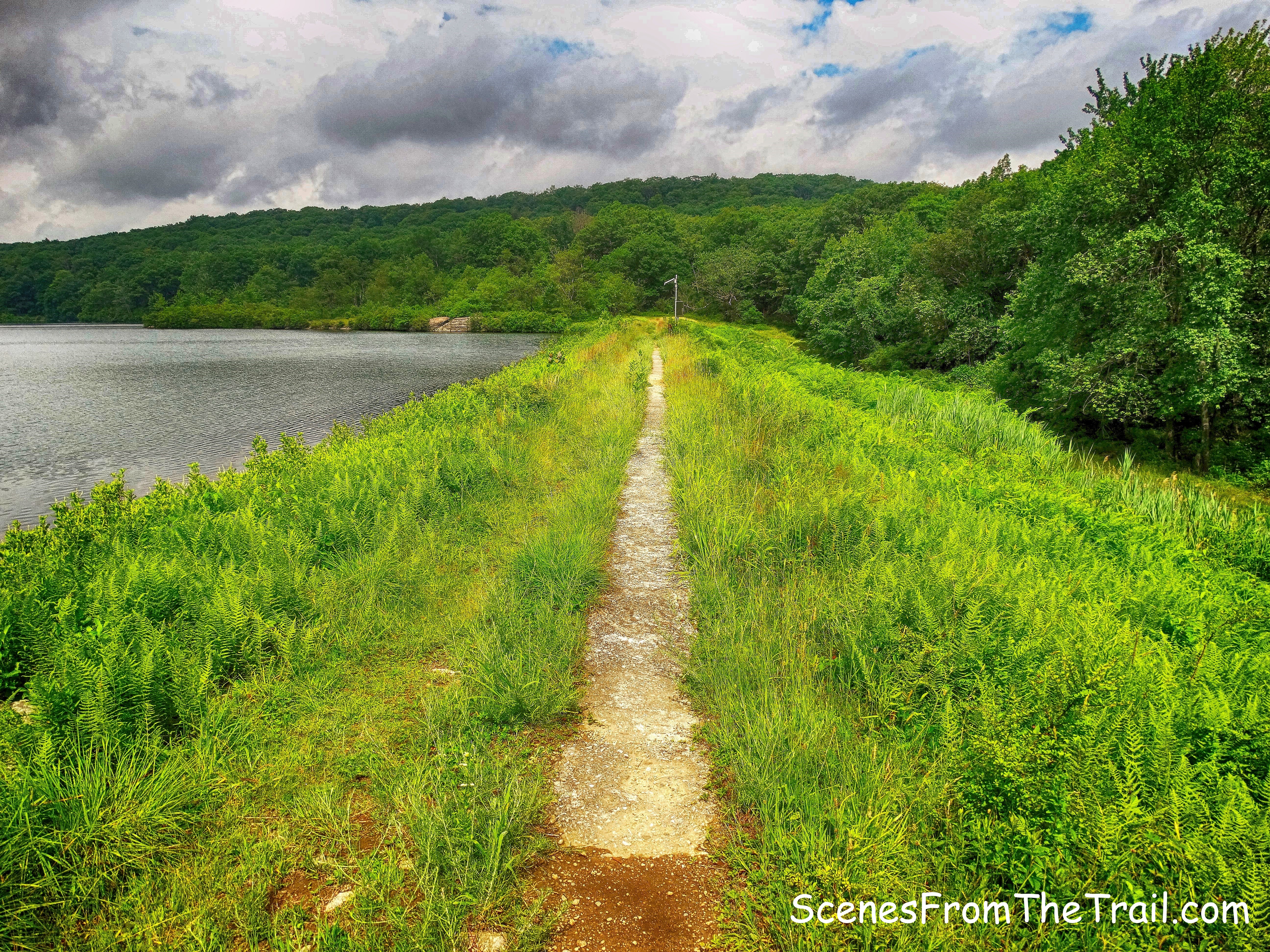 earthen dam