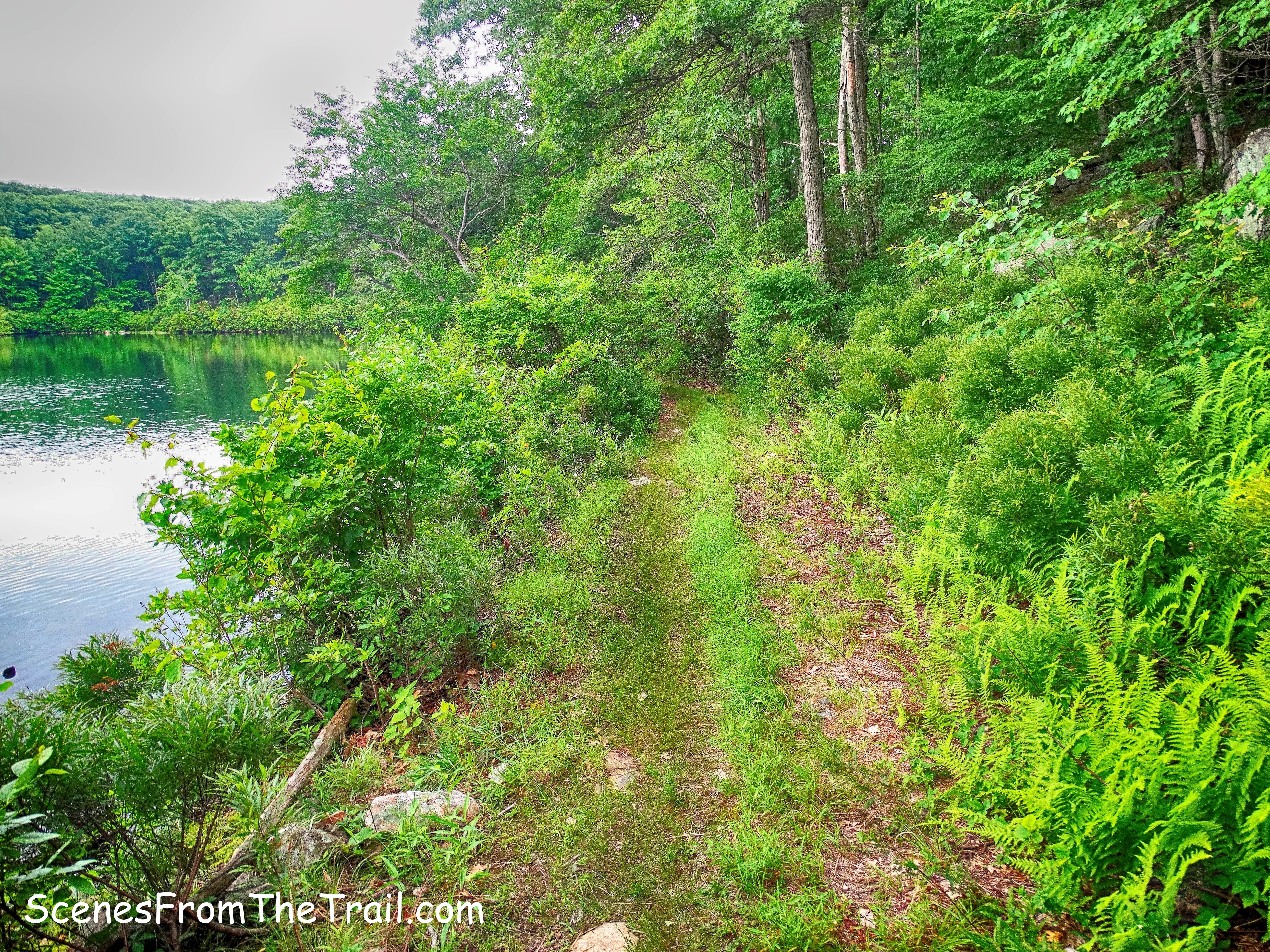 unmaintained trail - Third Reservoir