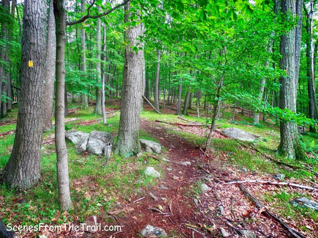 Suffern-Bear Mountain (S-BM) Trail