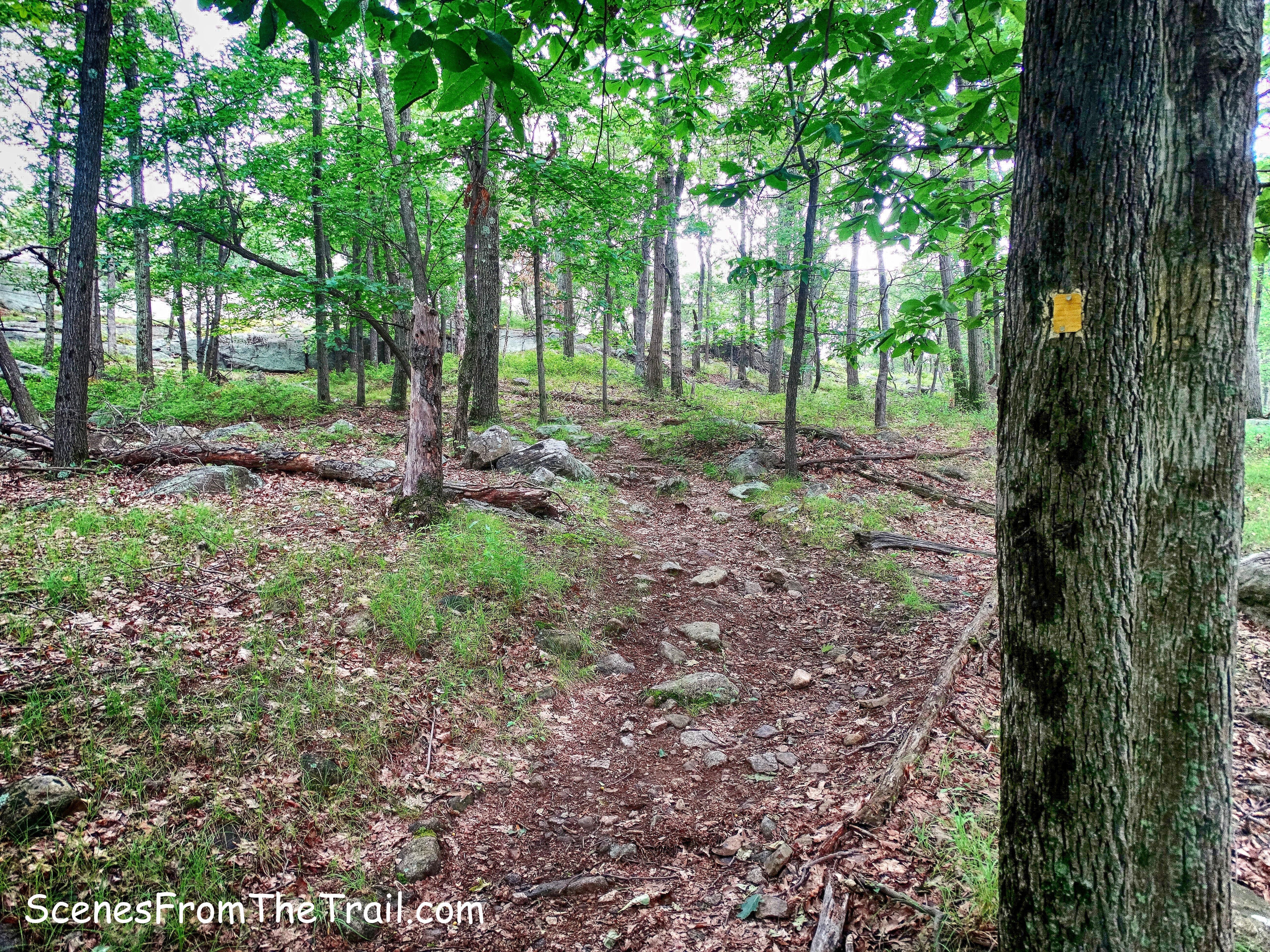 yellow-blazed Suffern-Bear Mountain (S-BM) Trail