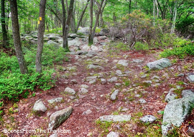 Suffern-Bear Mountain Trail/Breakneck Mountain Trail junction