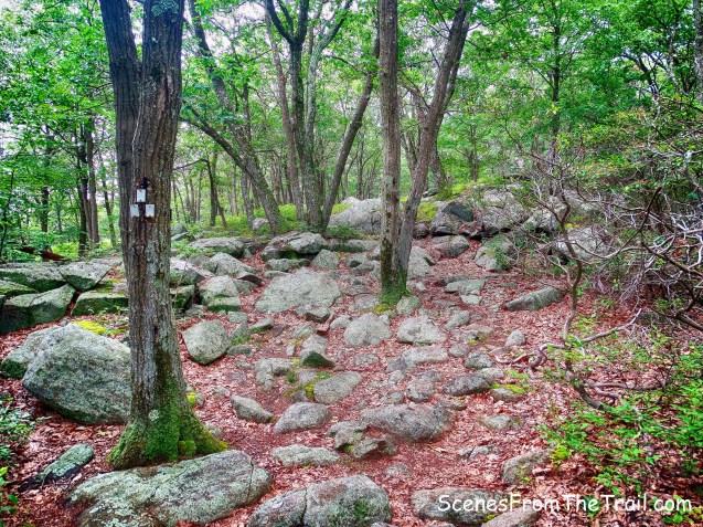 Breakneck Mountain Trail