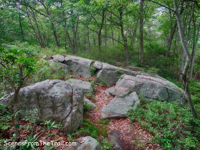 Breakneck Mountain Trail