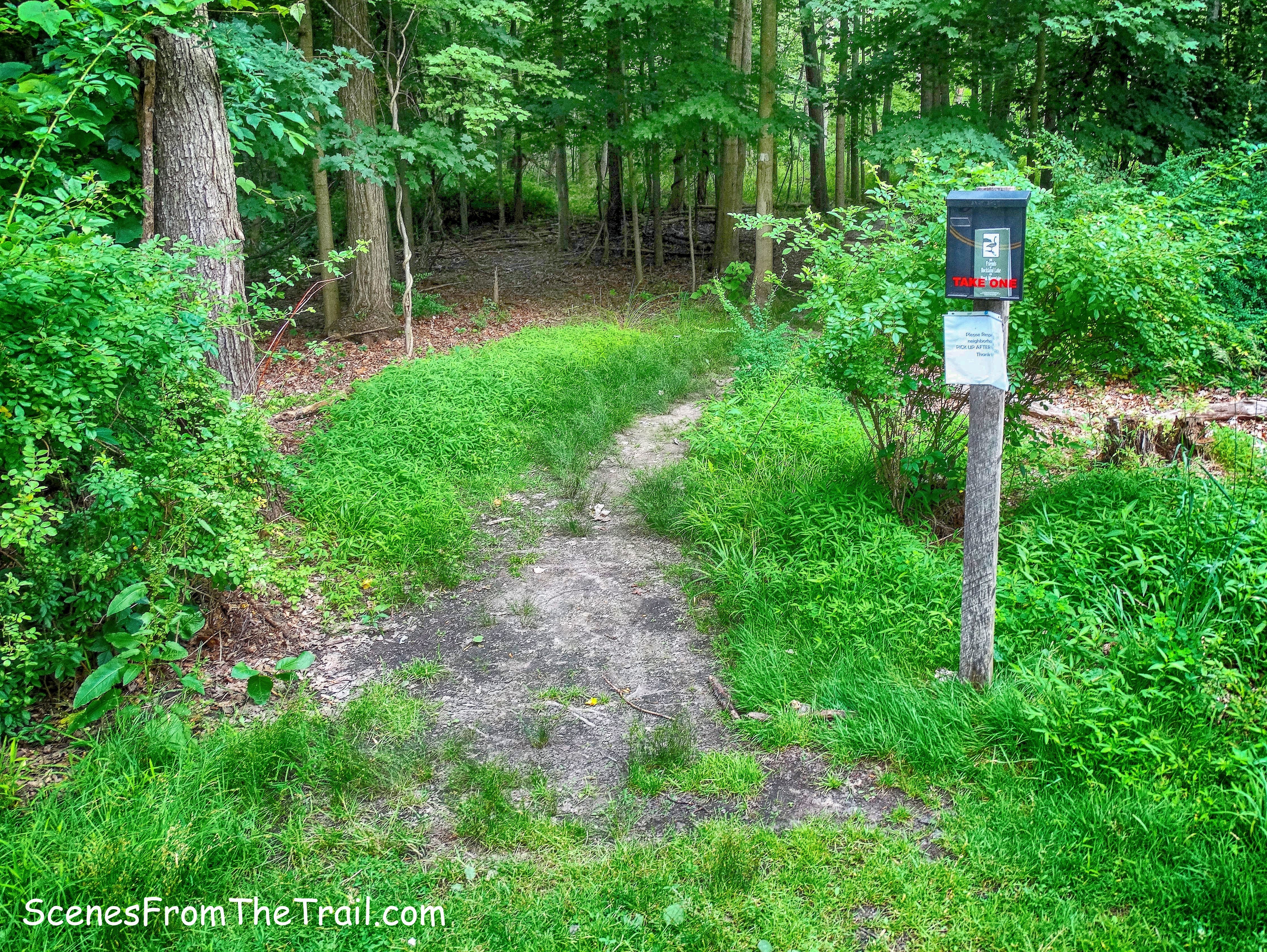 Upper Nyack Trail