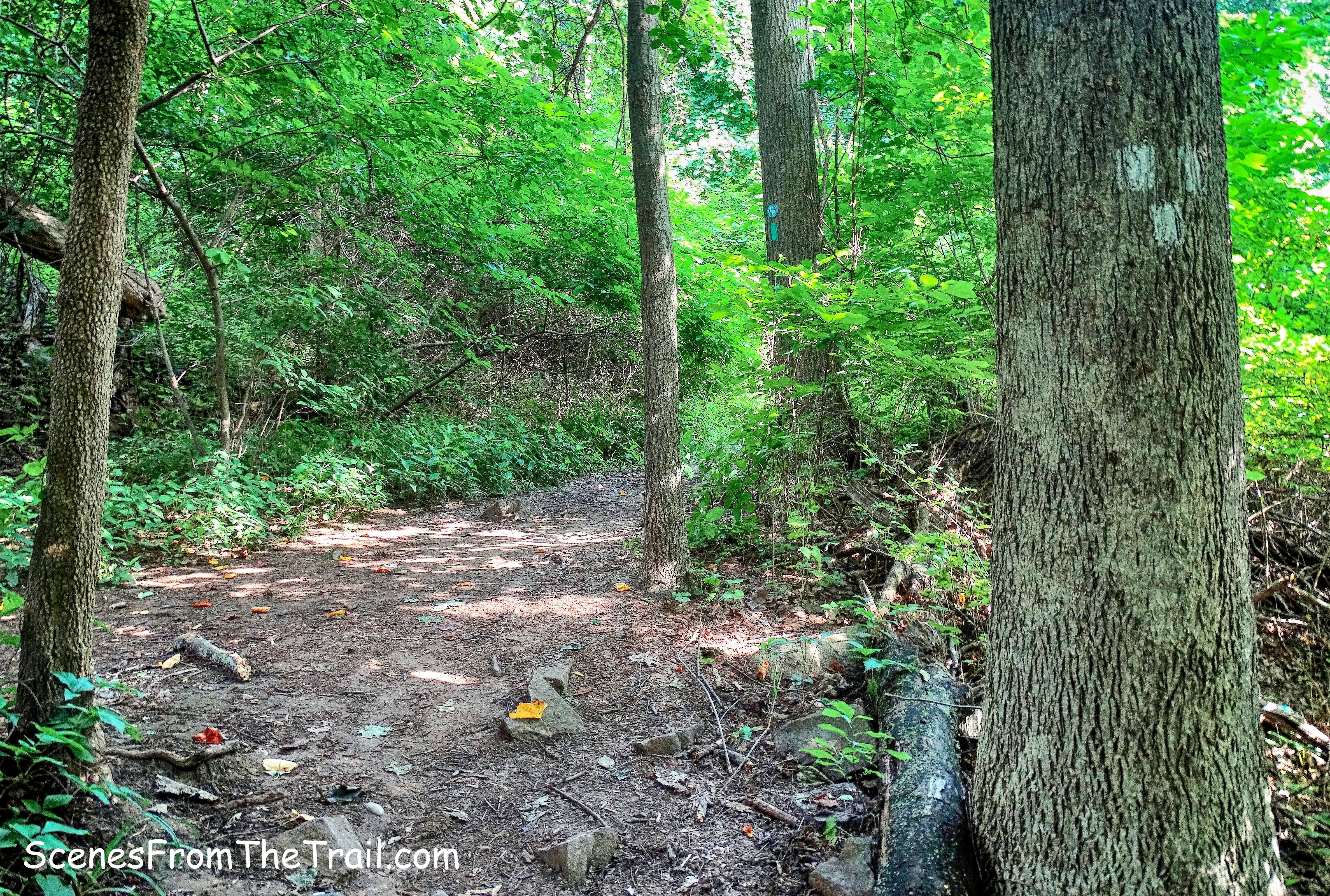 Upper Nyack Trail/Long Path junction