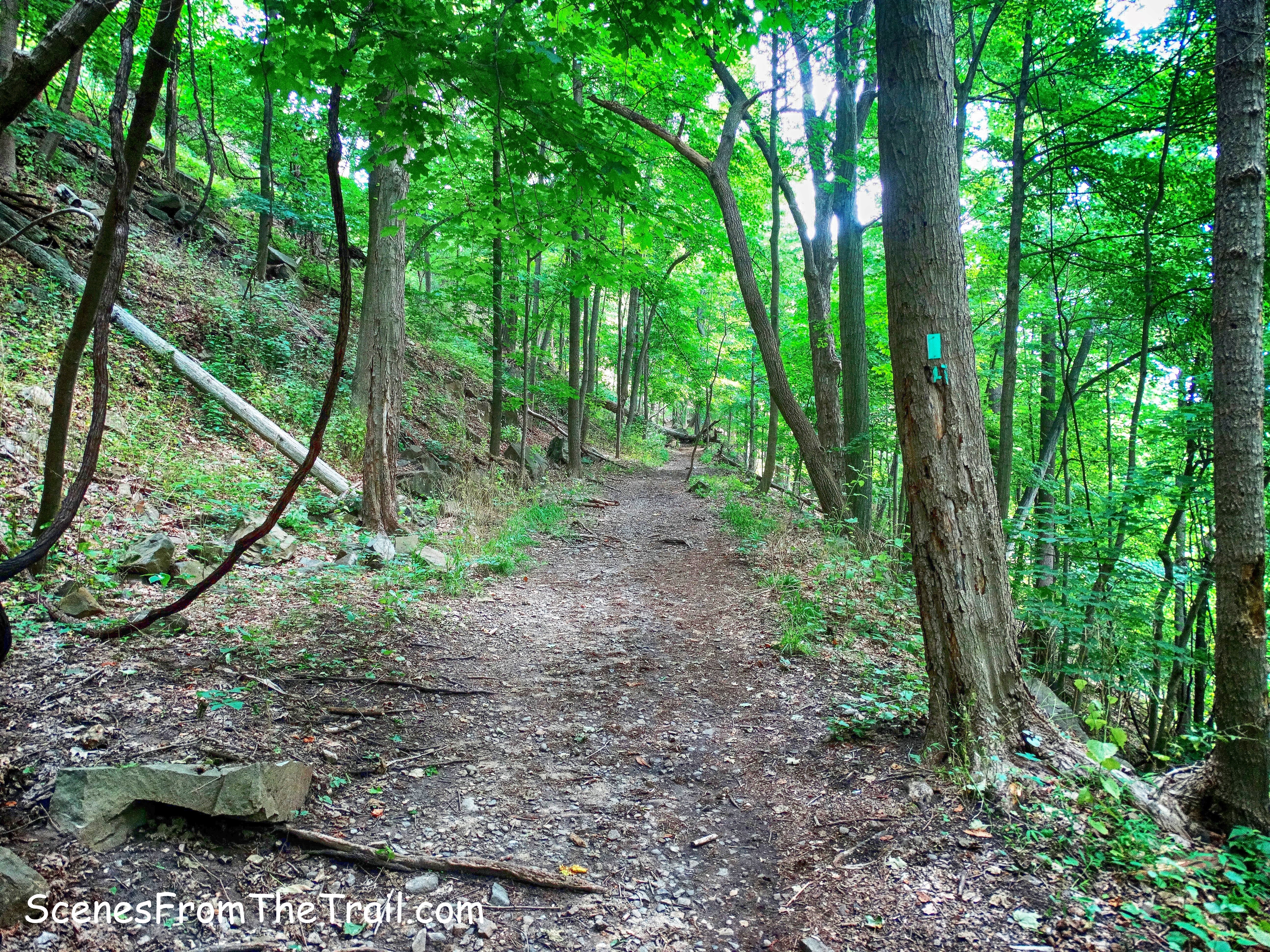 The Long Path