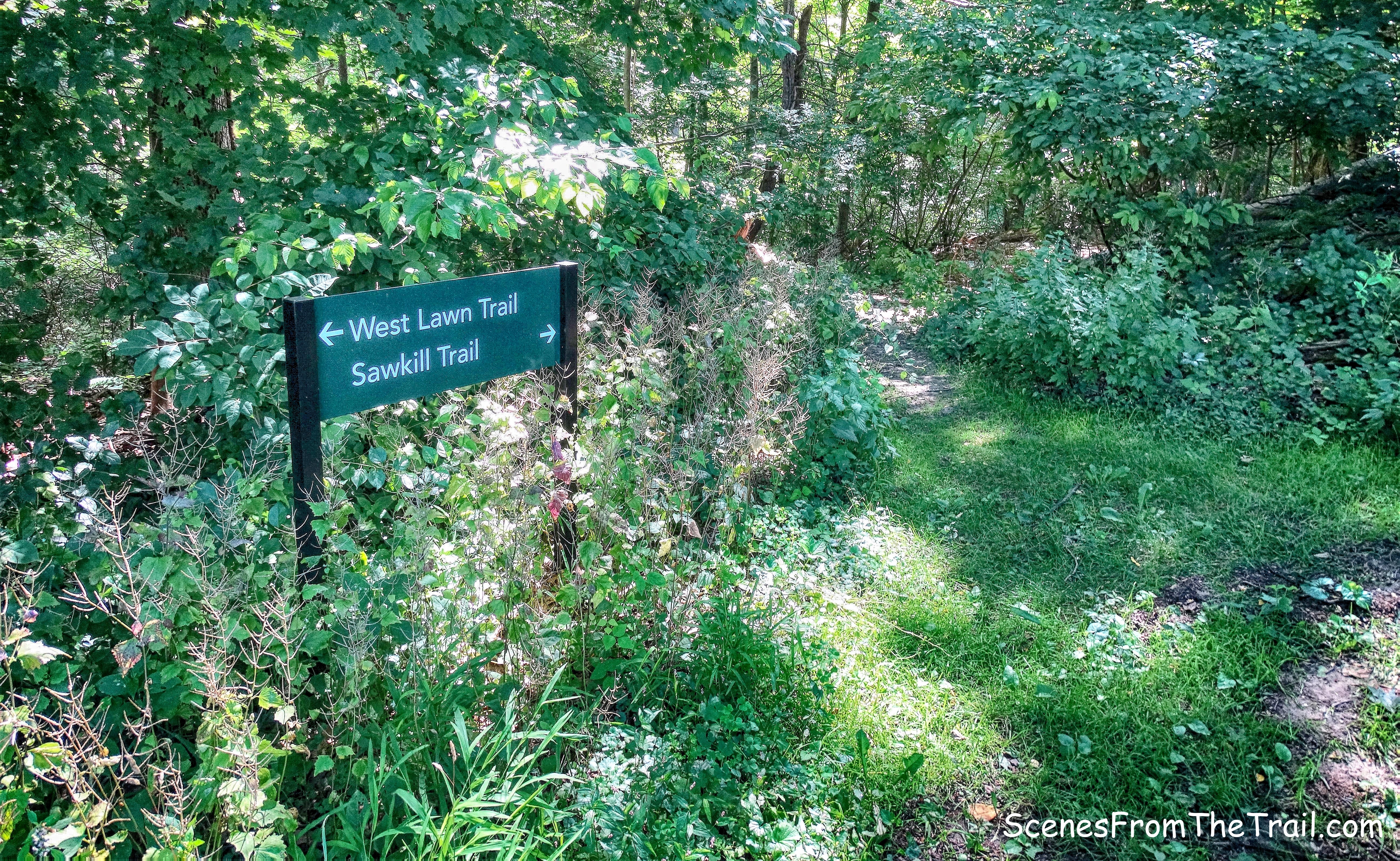 Sawkill Trail