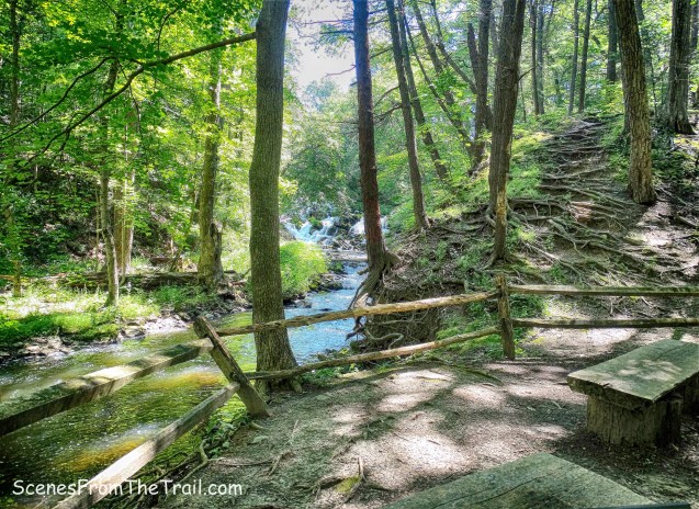 Sawkill Creek with Lower Falls
