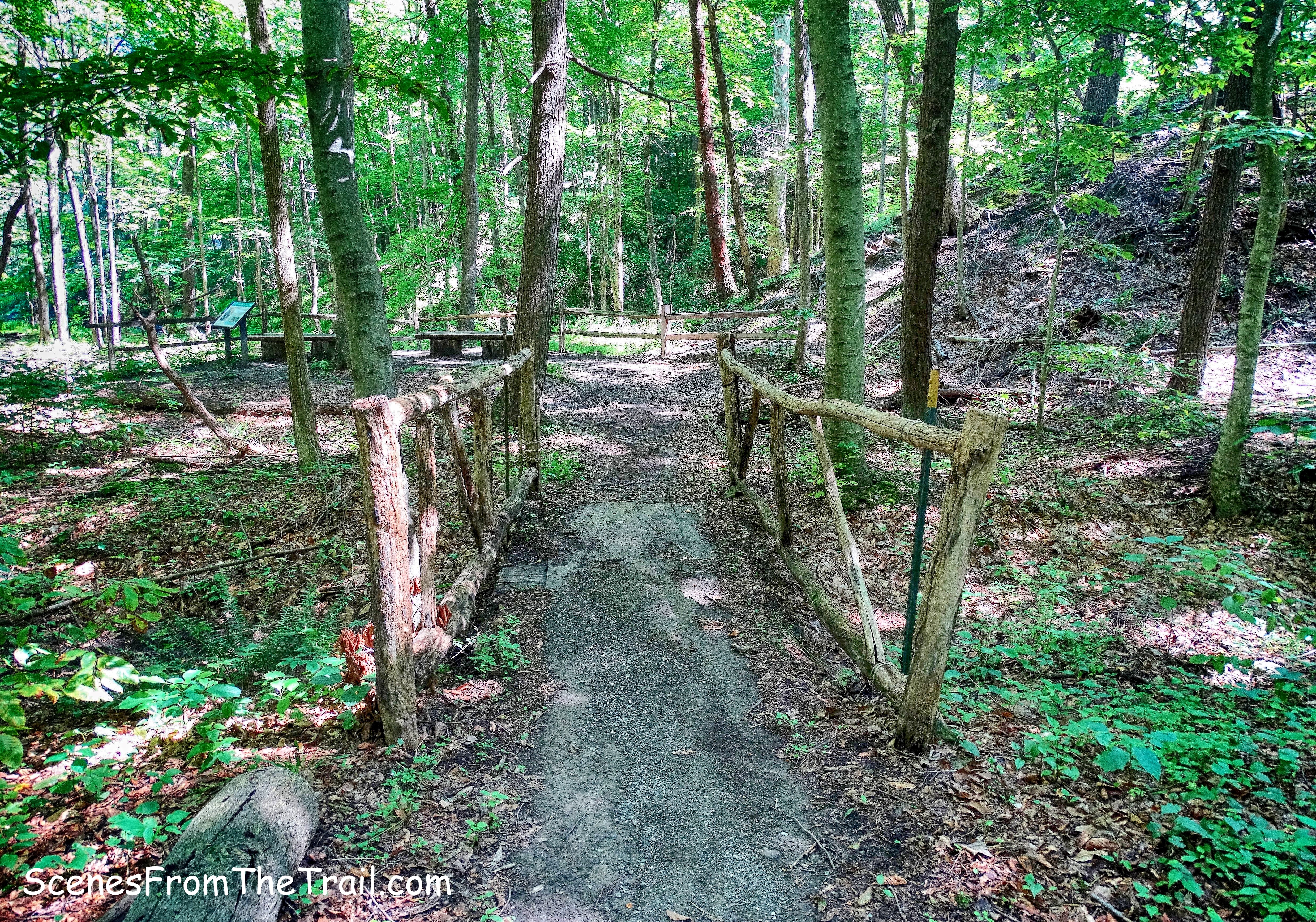 wooden footbridge