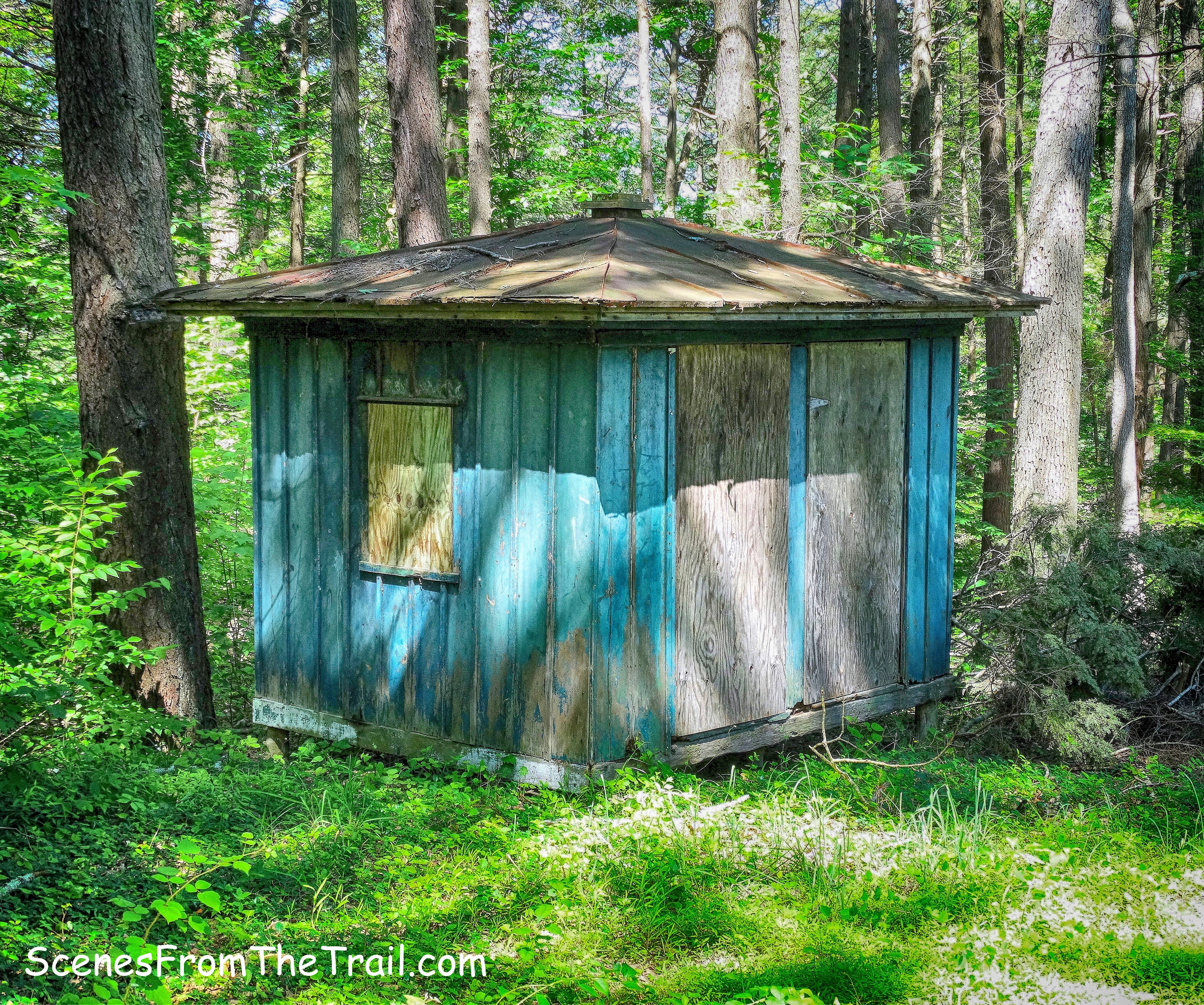 wooden shack