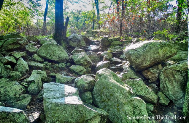 Ramapo-Dunderberg Trail