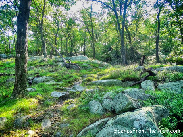 Ramapo-Dunderberg Trail