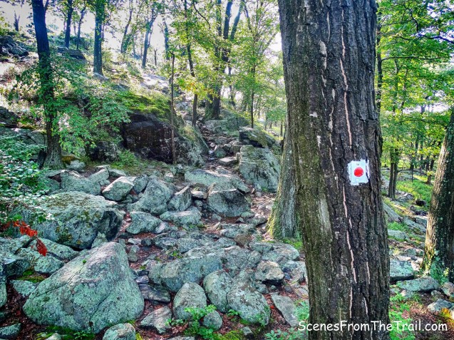 Ramapo-Dunderberg Trail