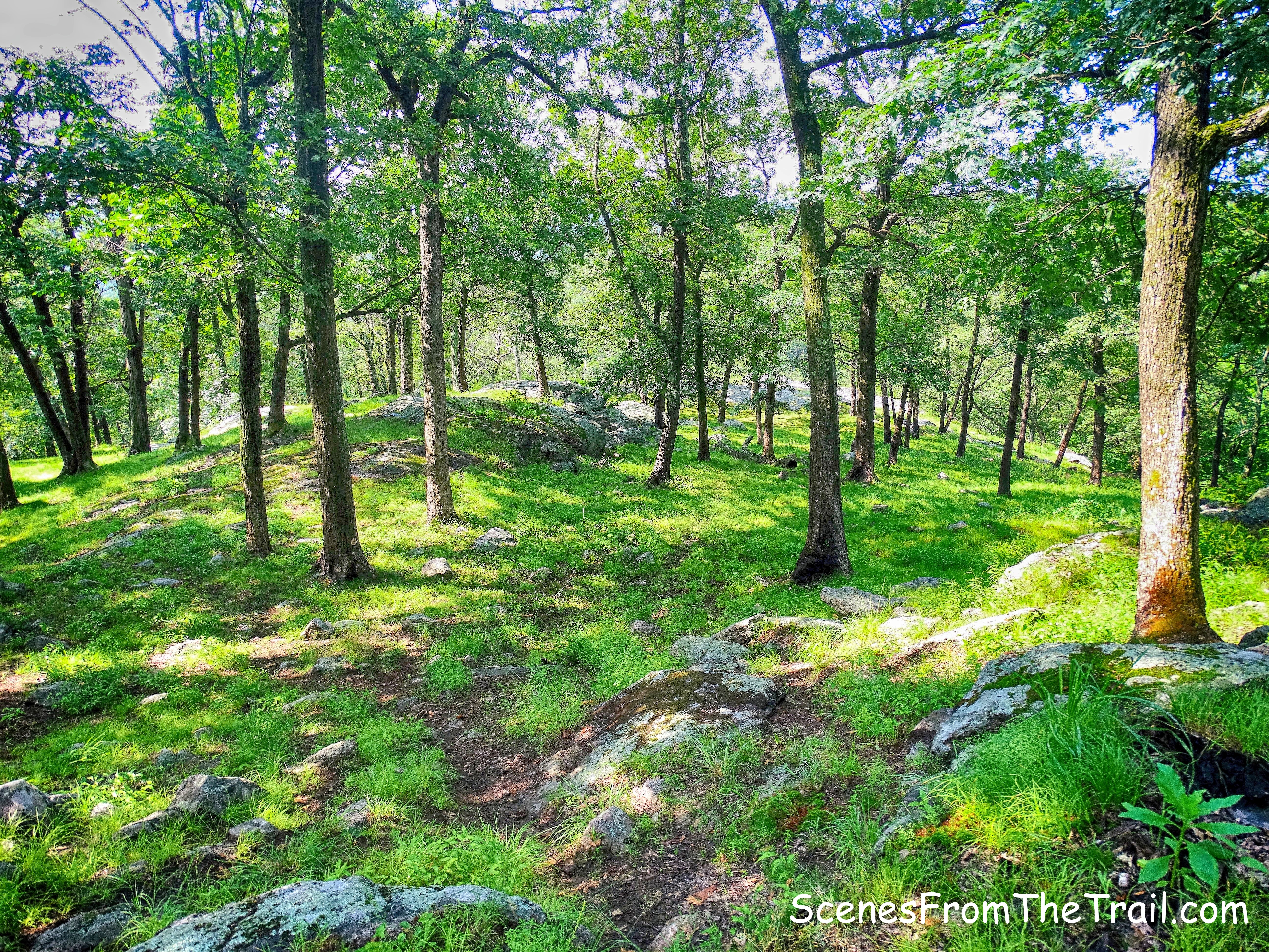 unmarked path