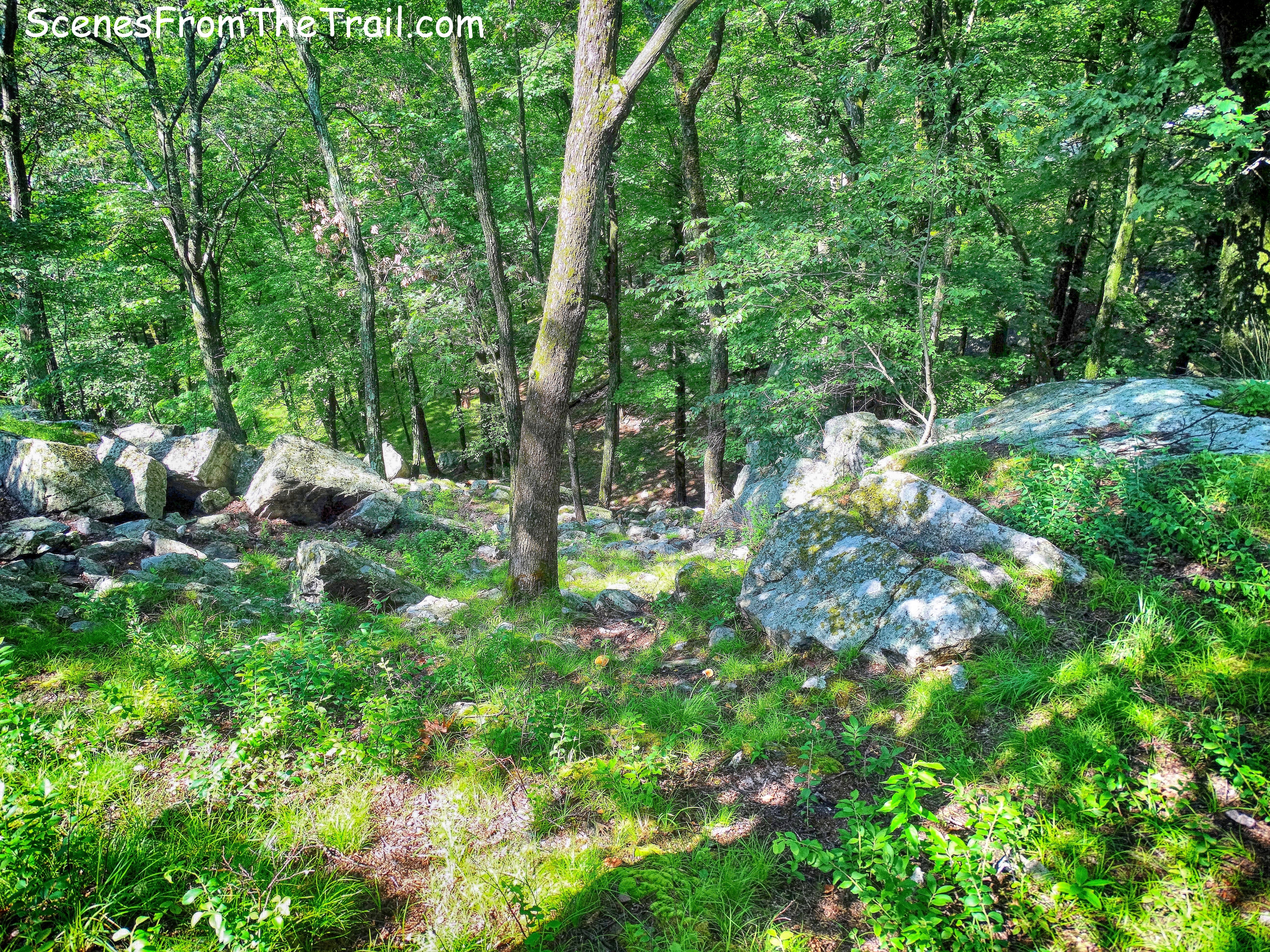 steep rocky slope