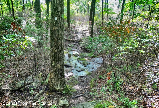 Victory Trail - stream crossing
