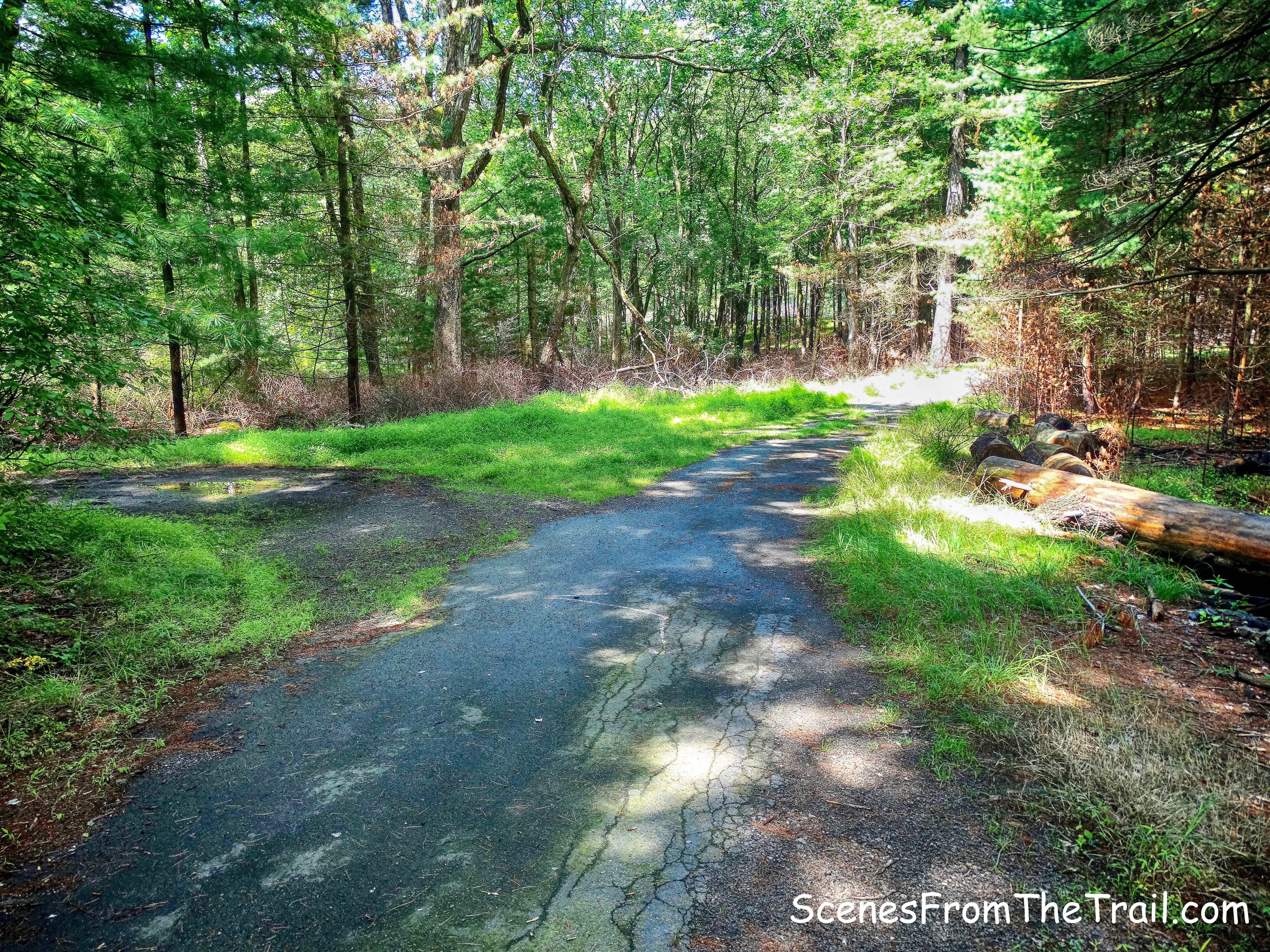 veering left at the fork in the road