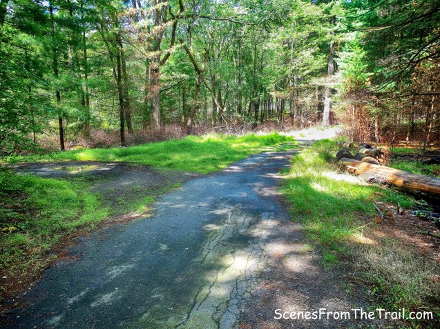 veering left at the fork in the road