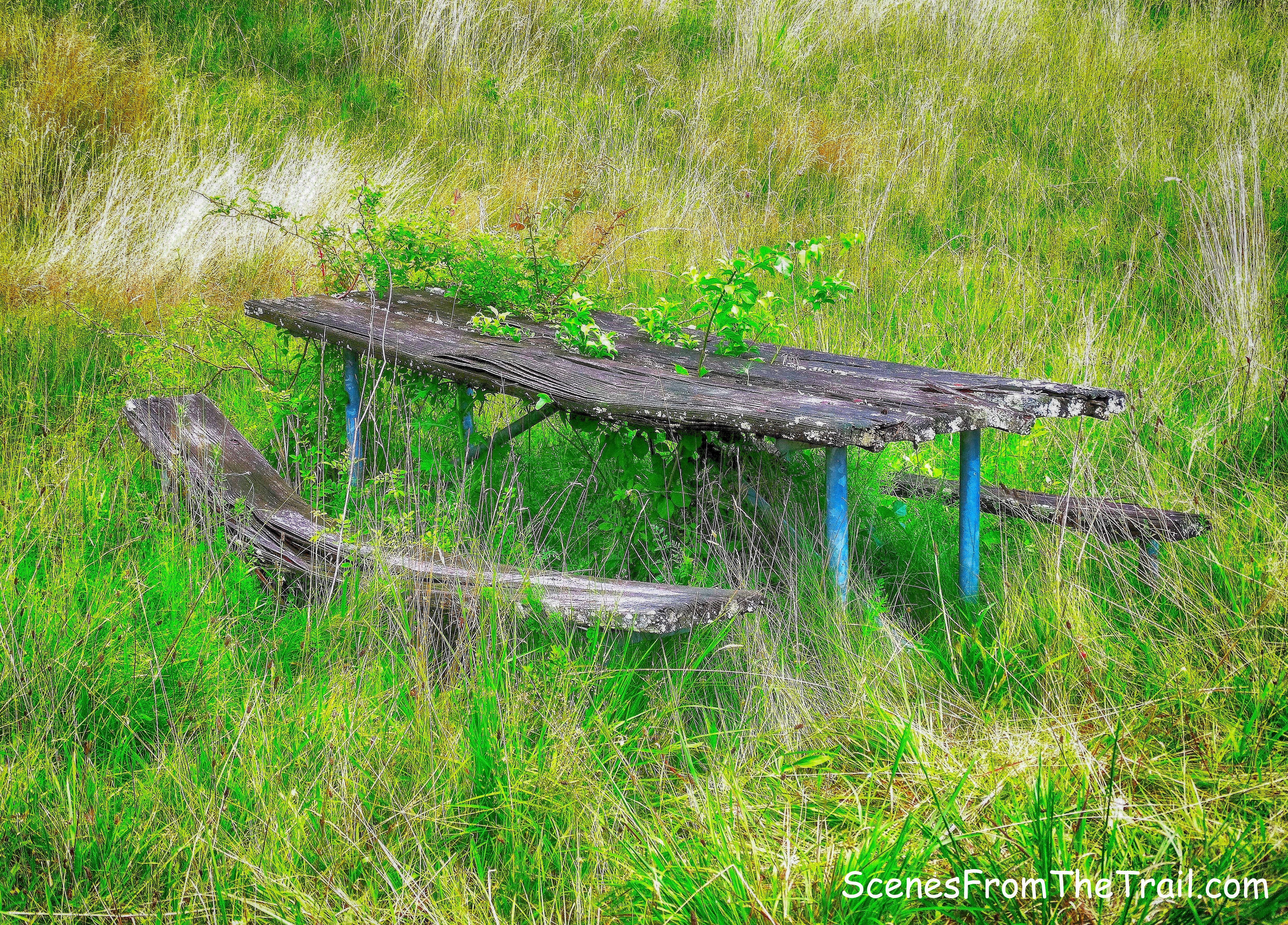 picnic table