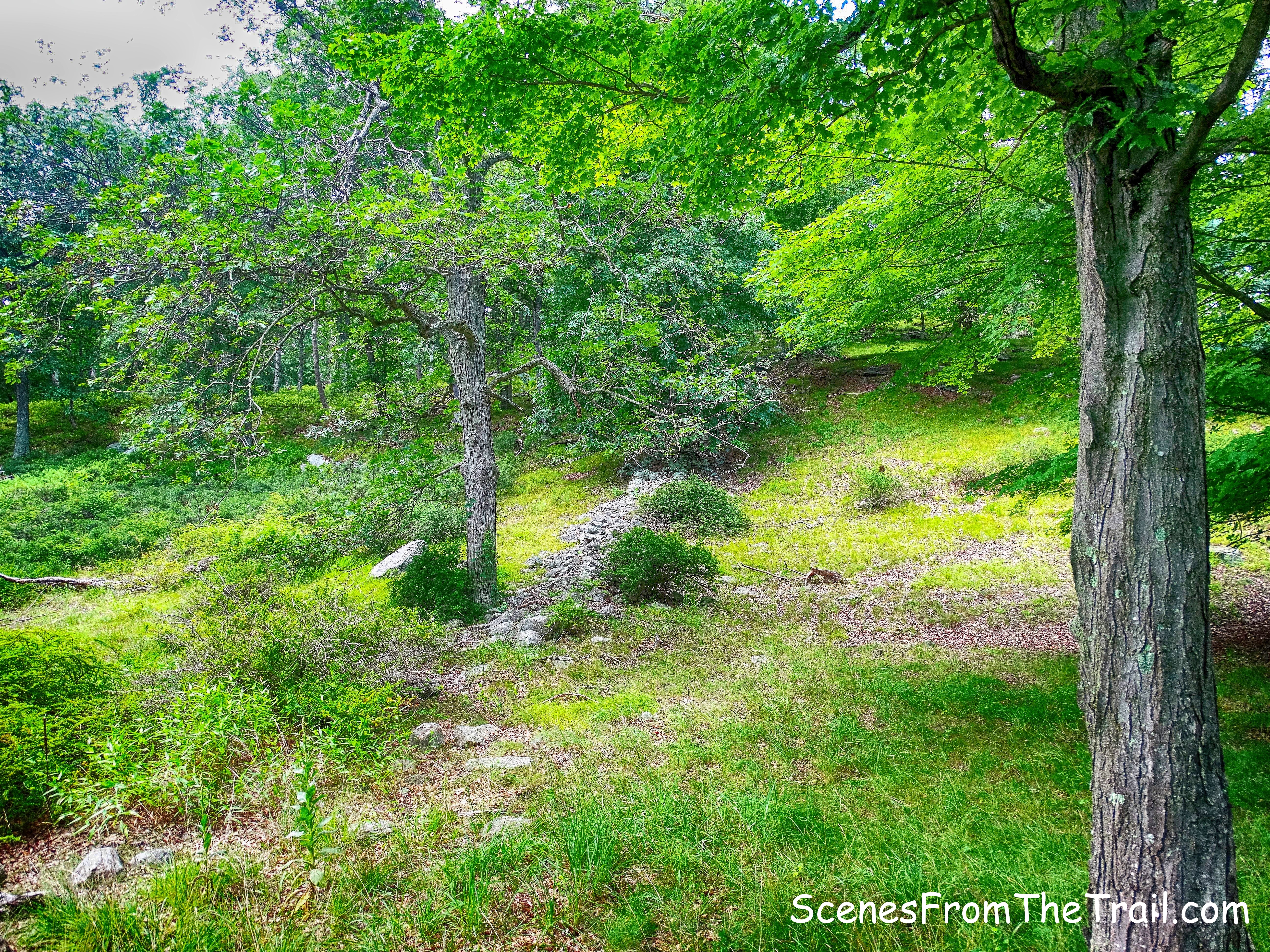 unmarked Sloatsburg Trail