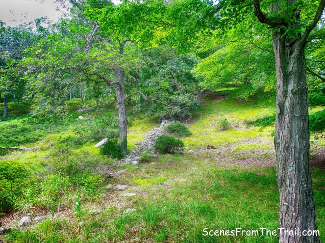 unmarked Sloatsburg Trail