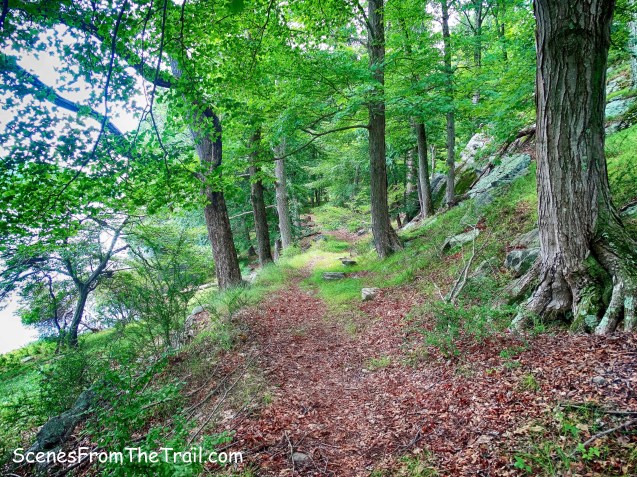 unmarked Sloatsburg Trail