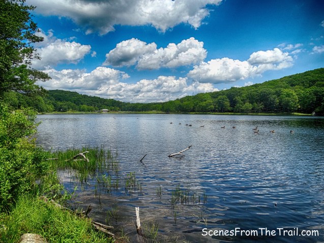 Lake Sebago looking northeast from the Sloatsburg Trail