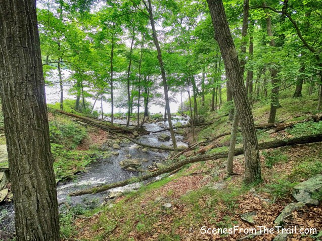 stream crossing on the Sloatsburg Trail