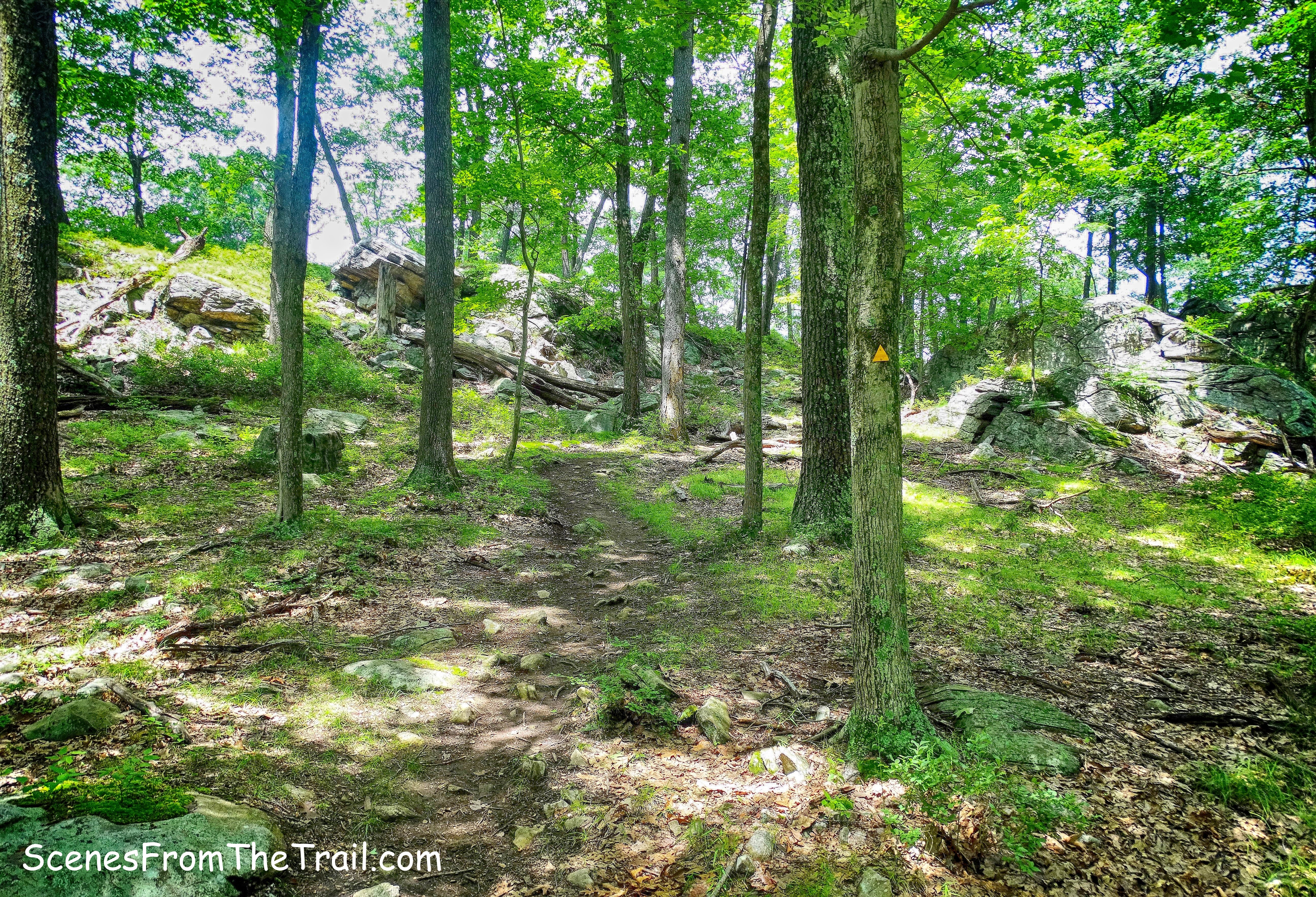 Triangle Trail