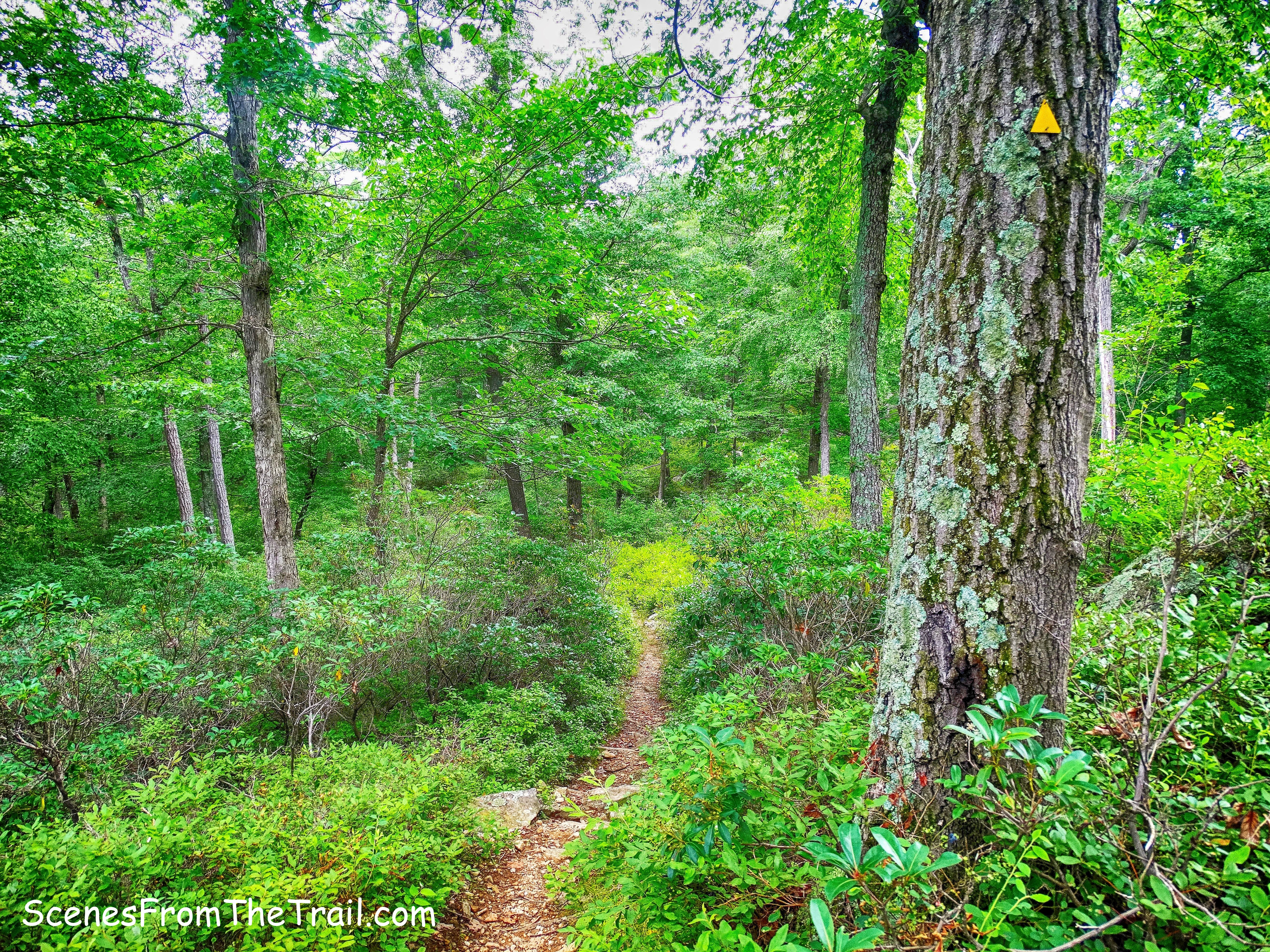 Triangle Trail
