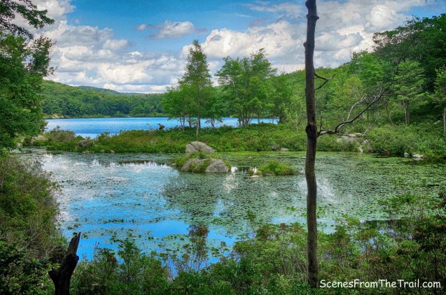 view from Triangle Trail