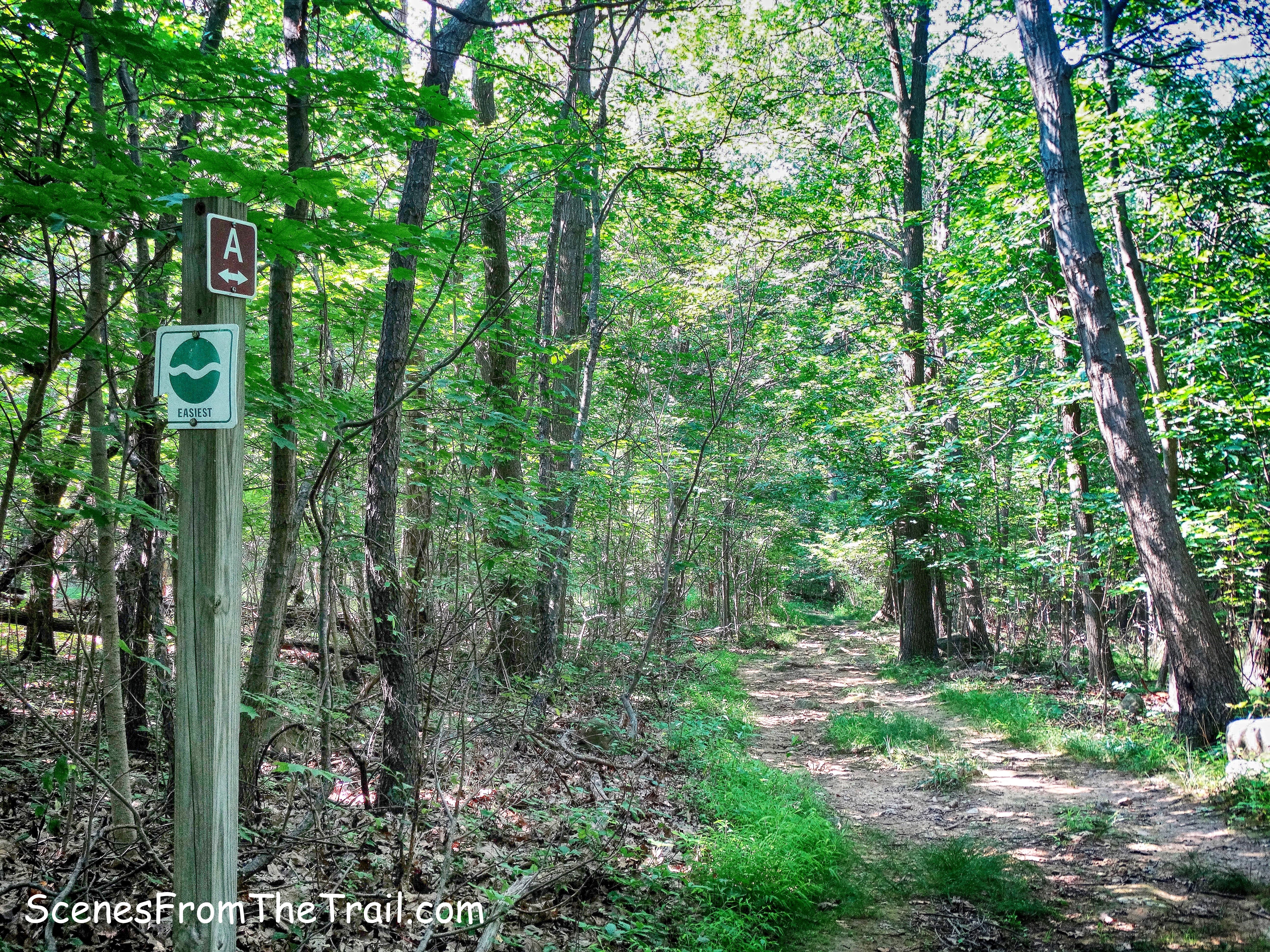 Ski Trail A