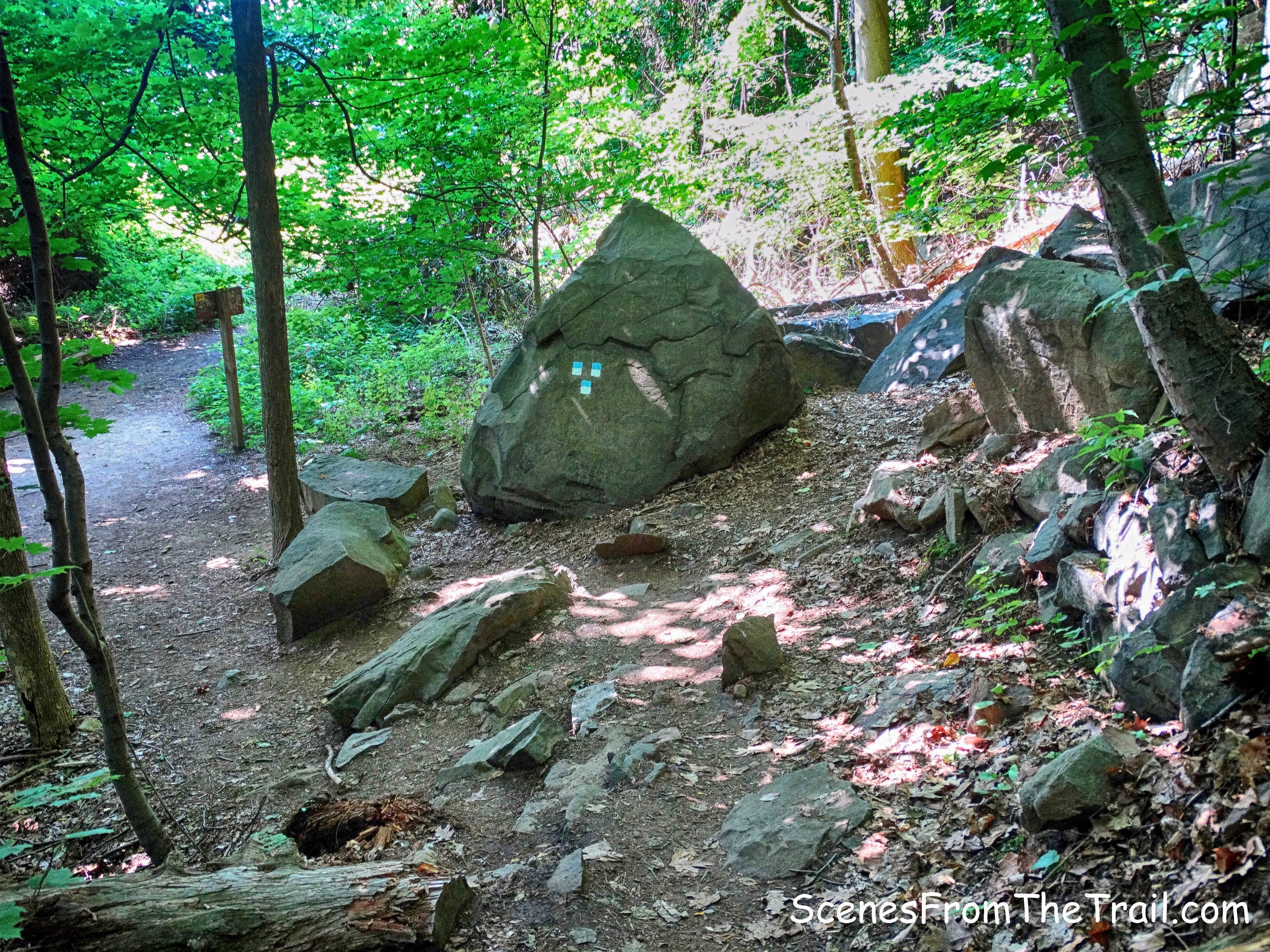 end of Forest View Trail 