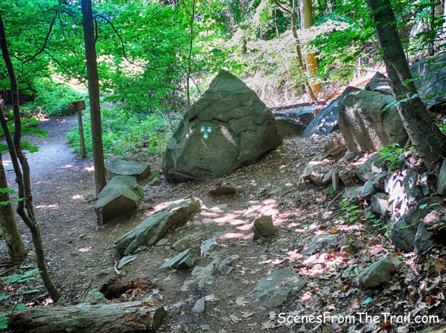 end of Forest View Trail