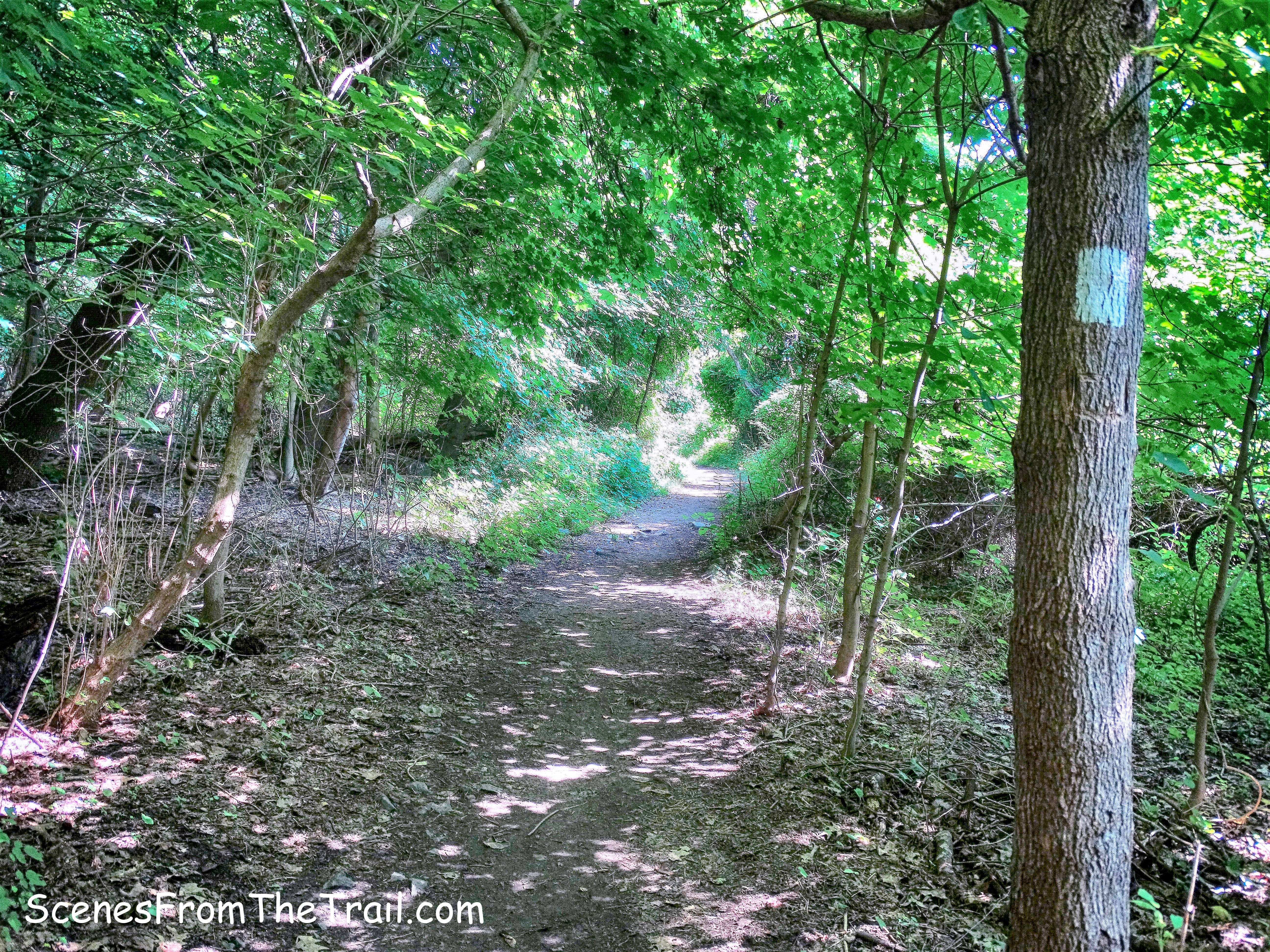 white-blazed Shore Trail
