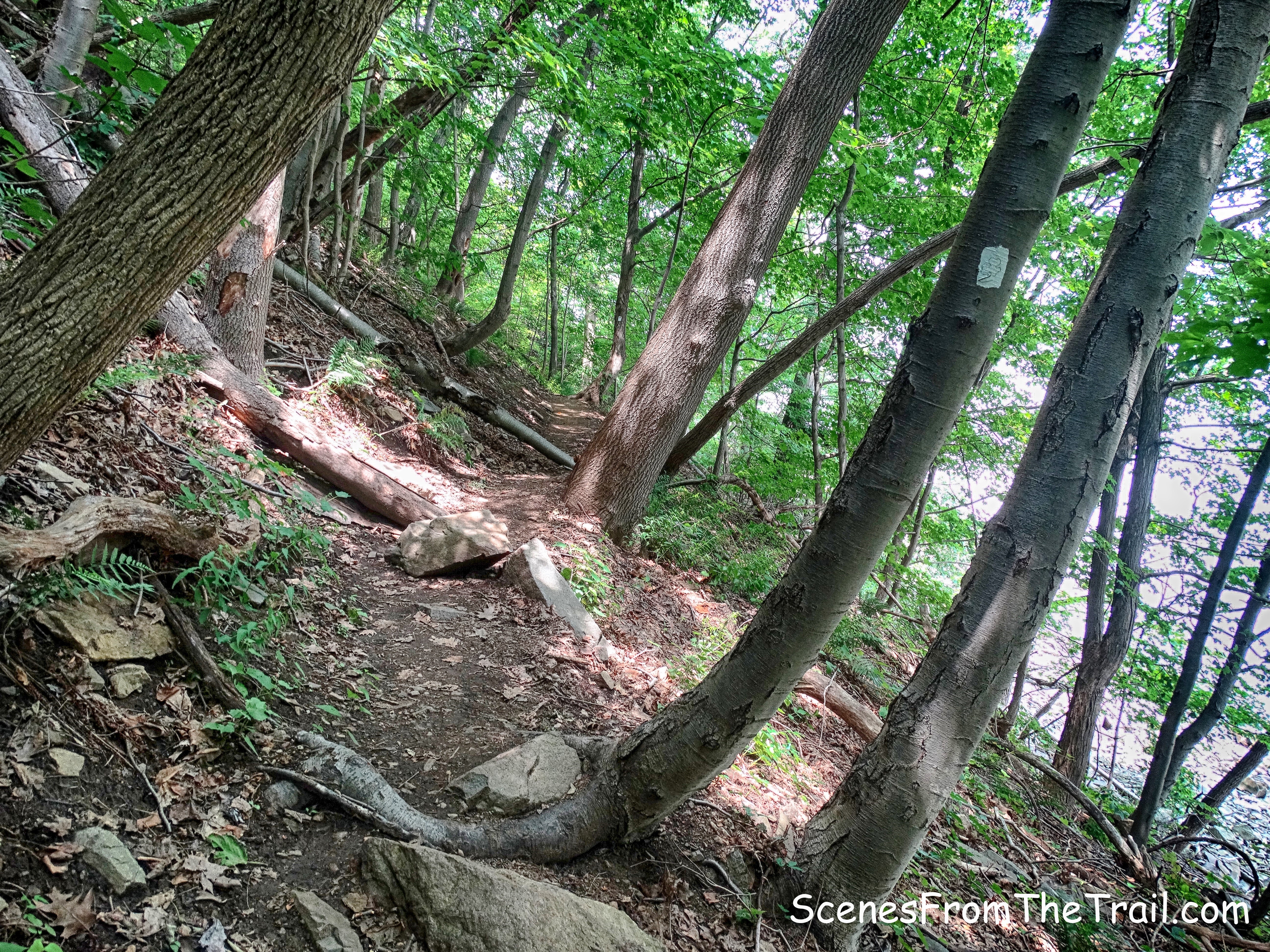 Shore Trail