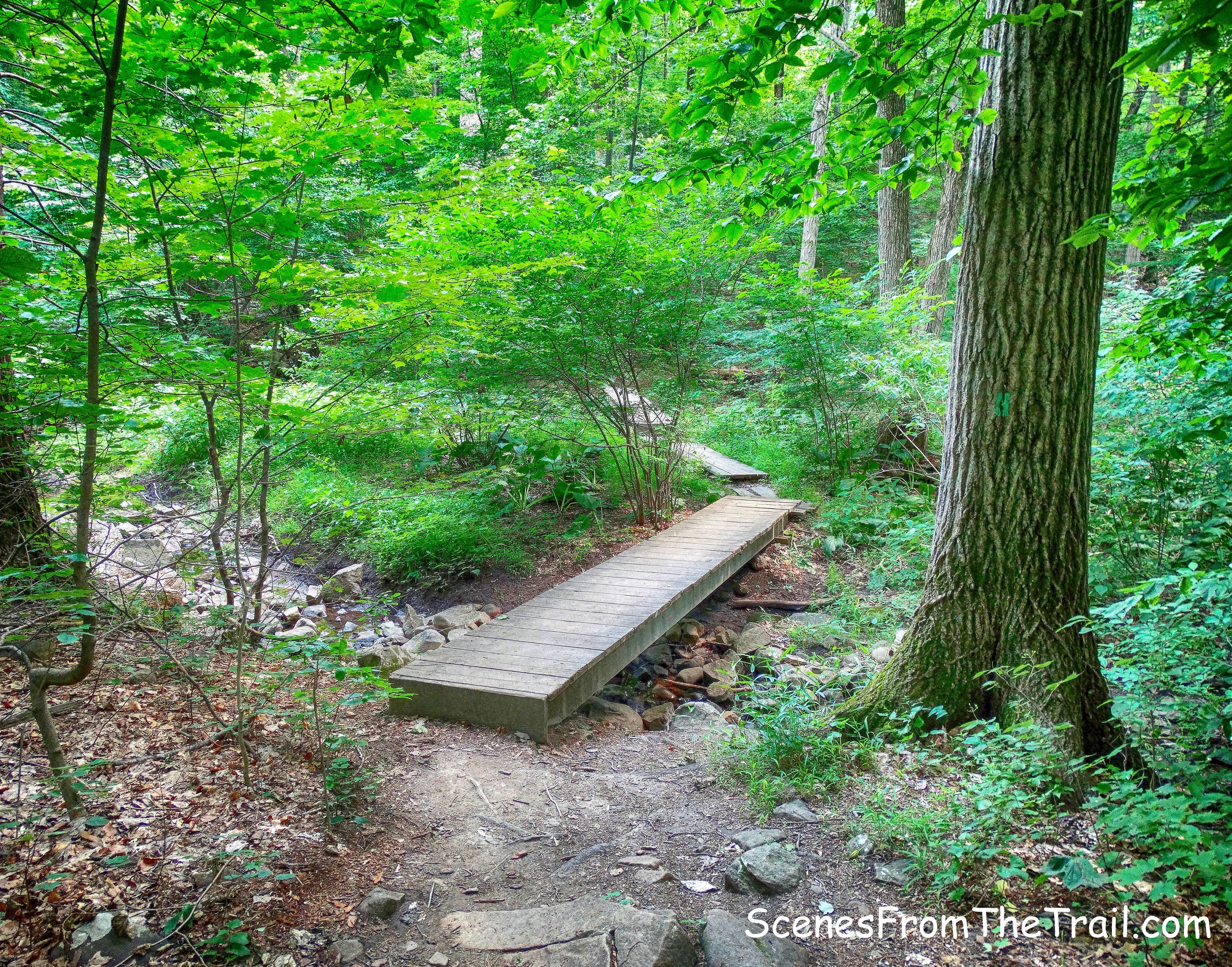 the Long Path