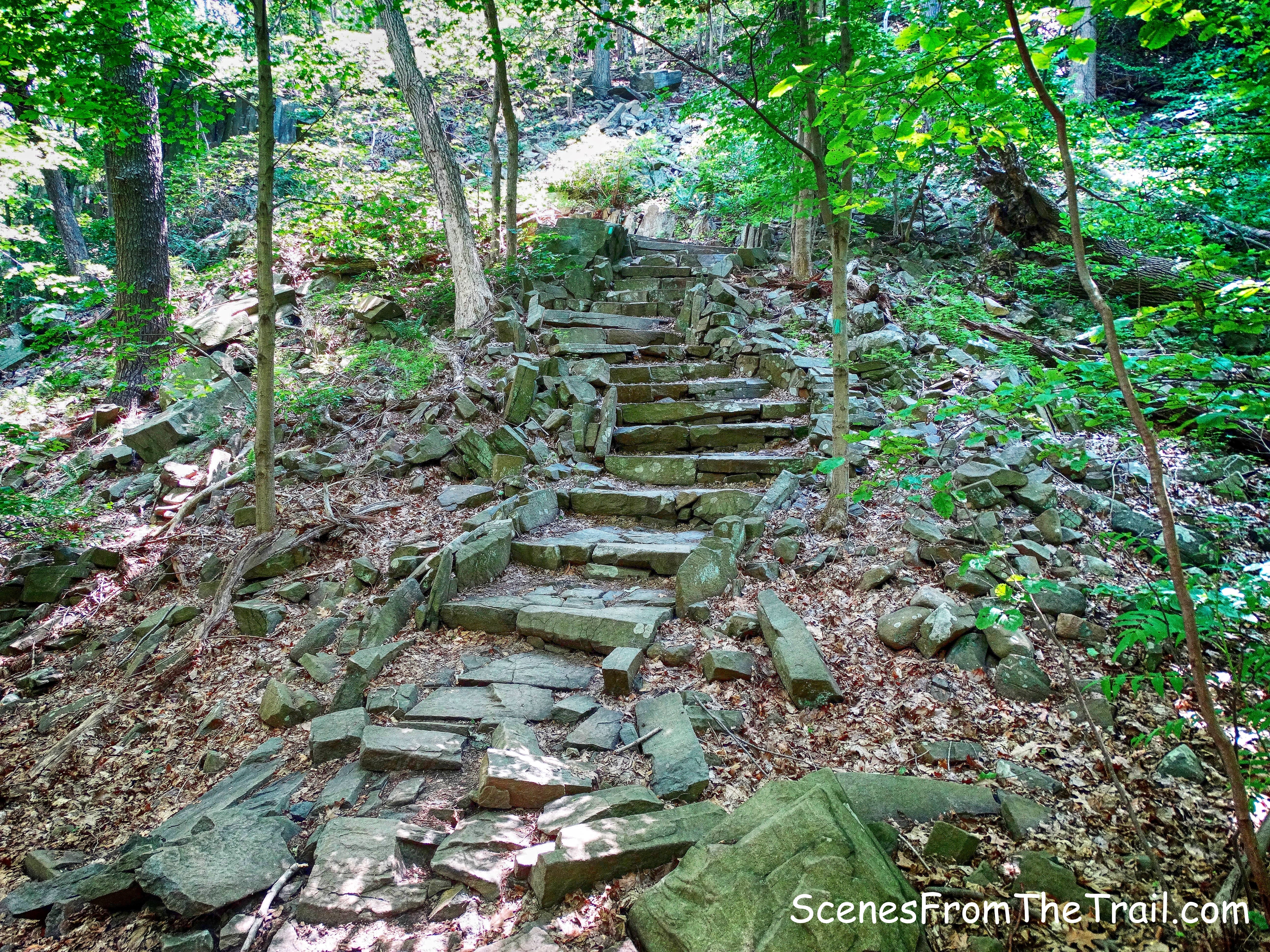 the Long Path