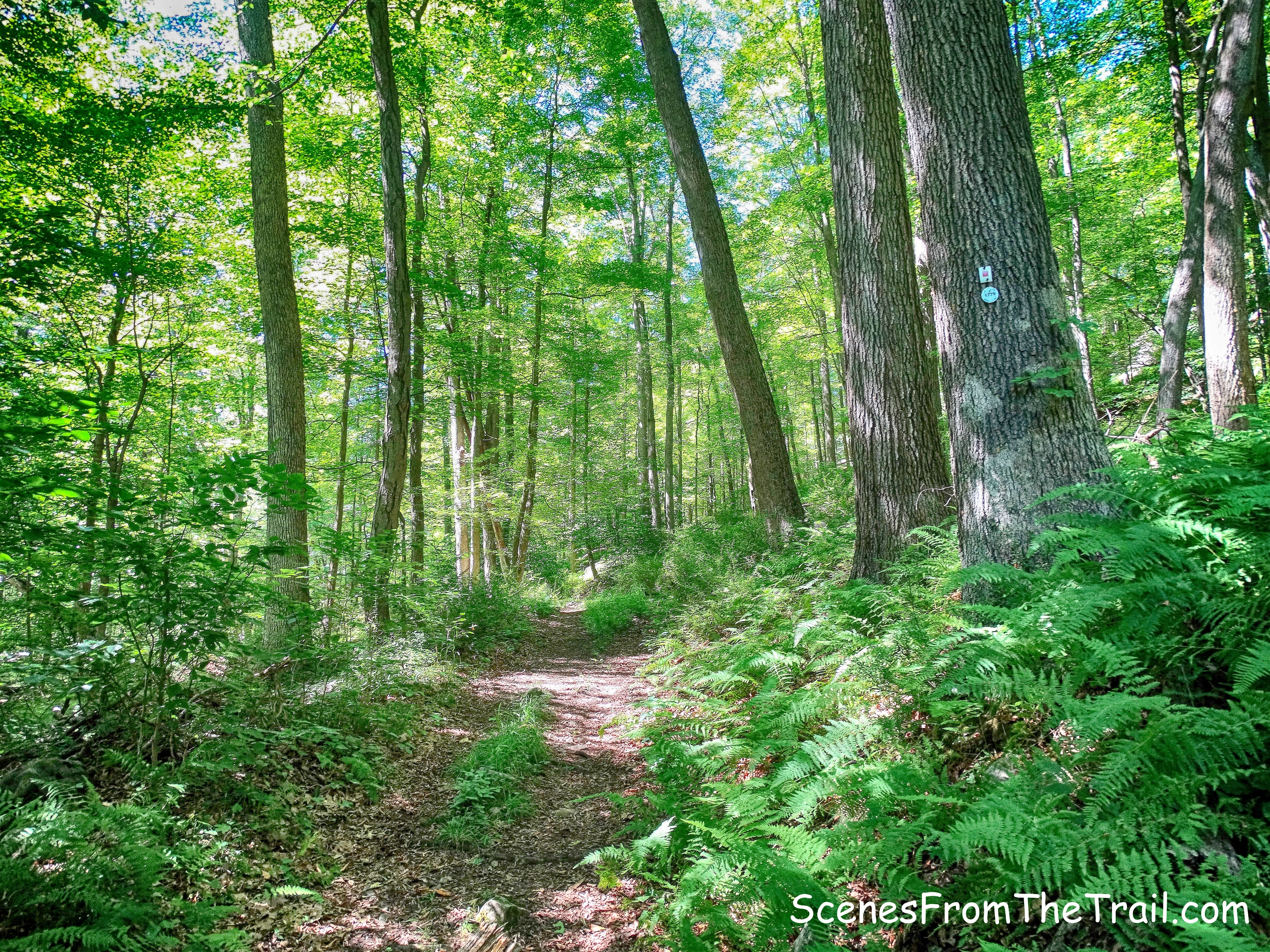 joint Popolopen Gorge/1779 Trail