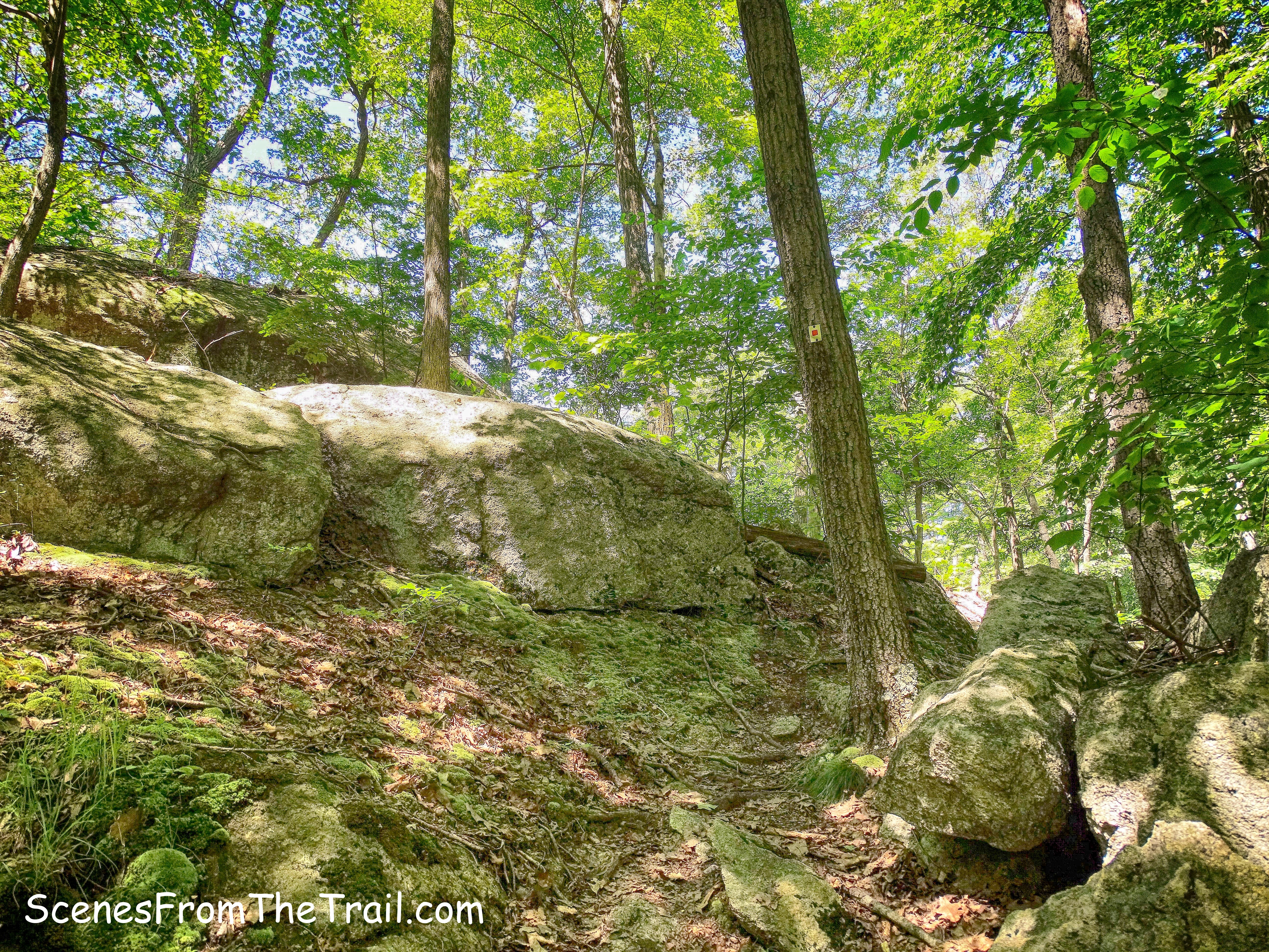 Popolopen Gorge Trail