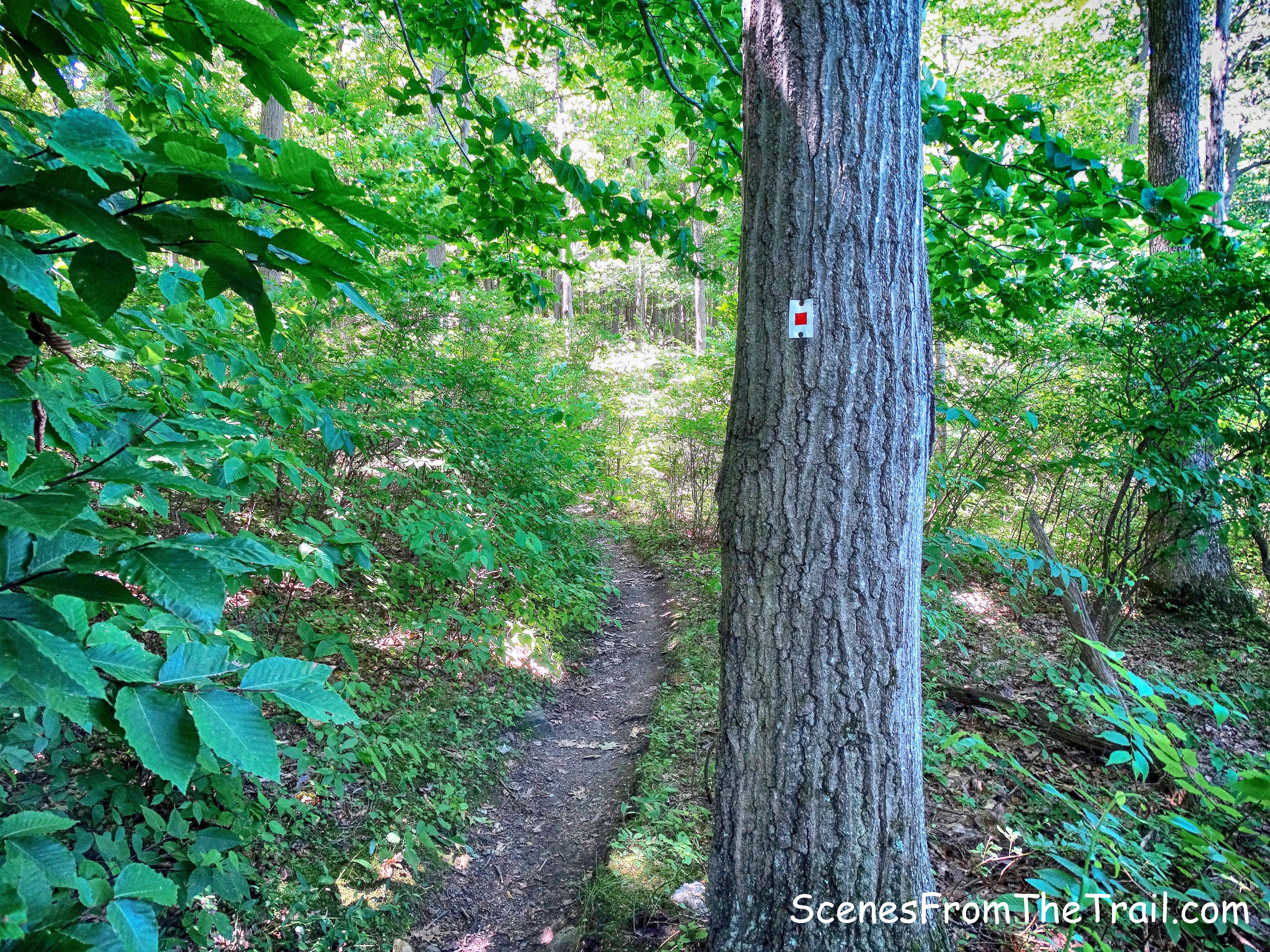 Popolopen Gorge Trail at Turkey Hill Lake
