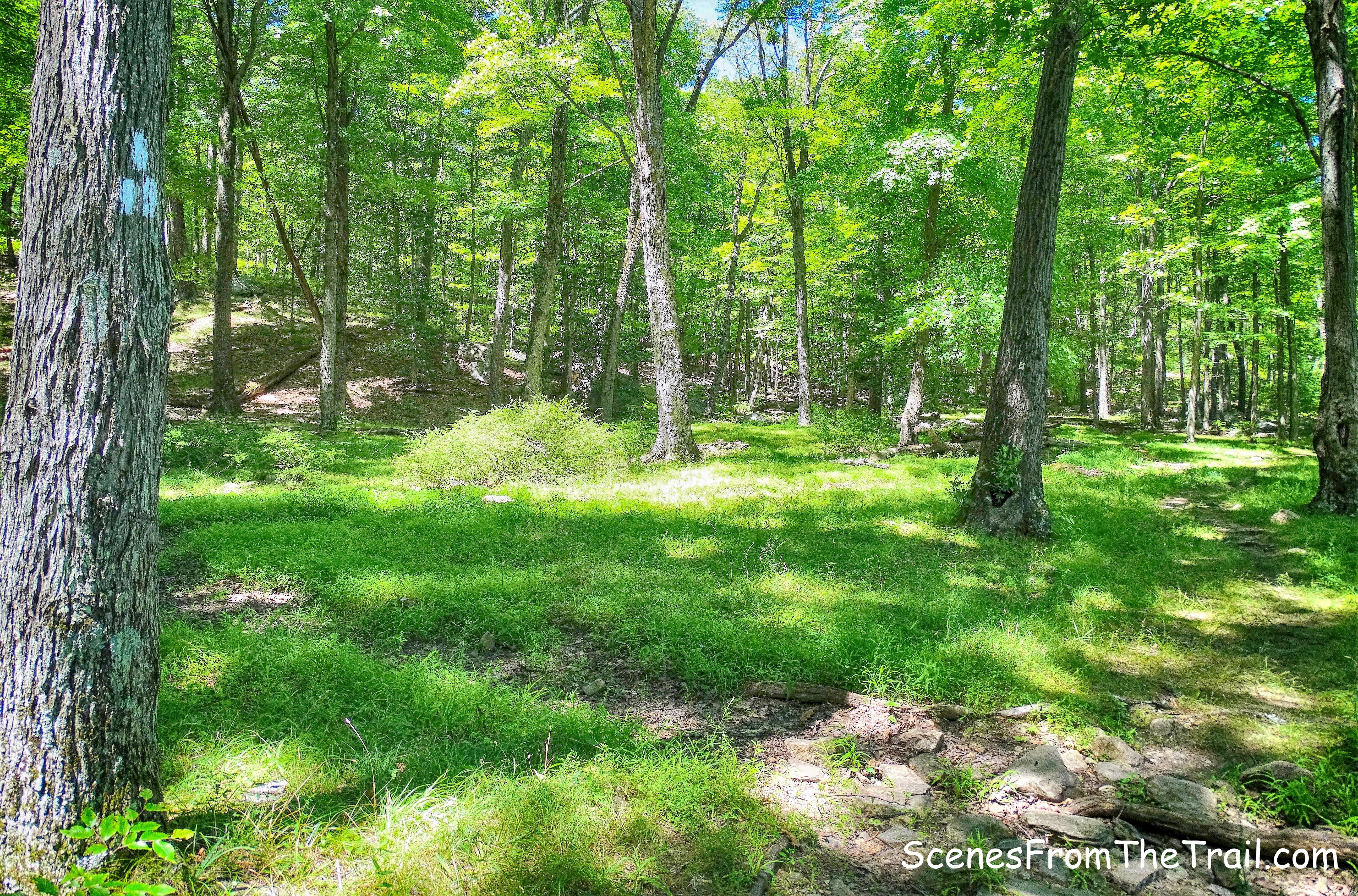 Anthony Wayne Trail junction at Turkey Hill Lake