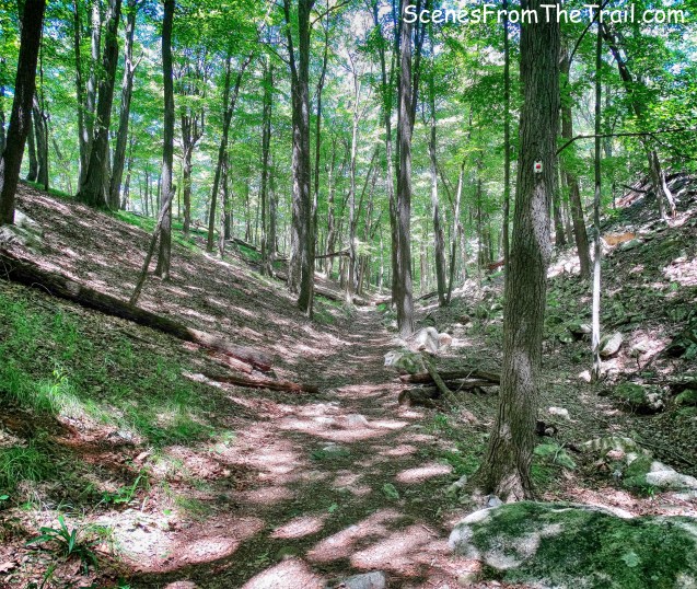Popolopen Gorge Trail