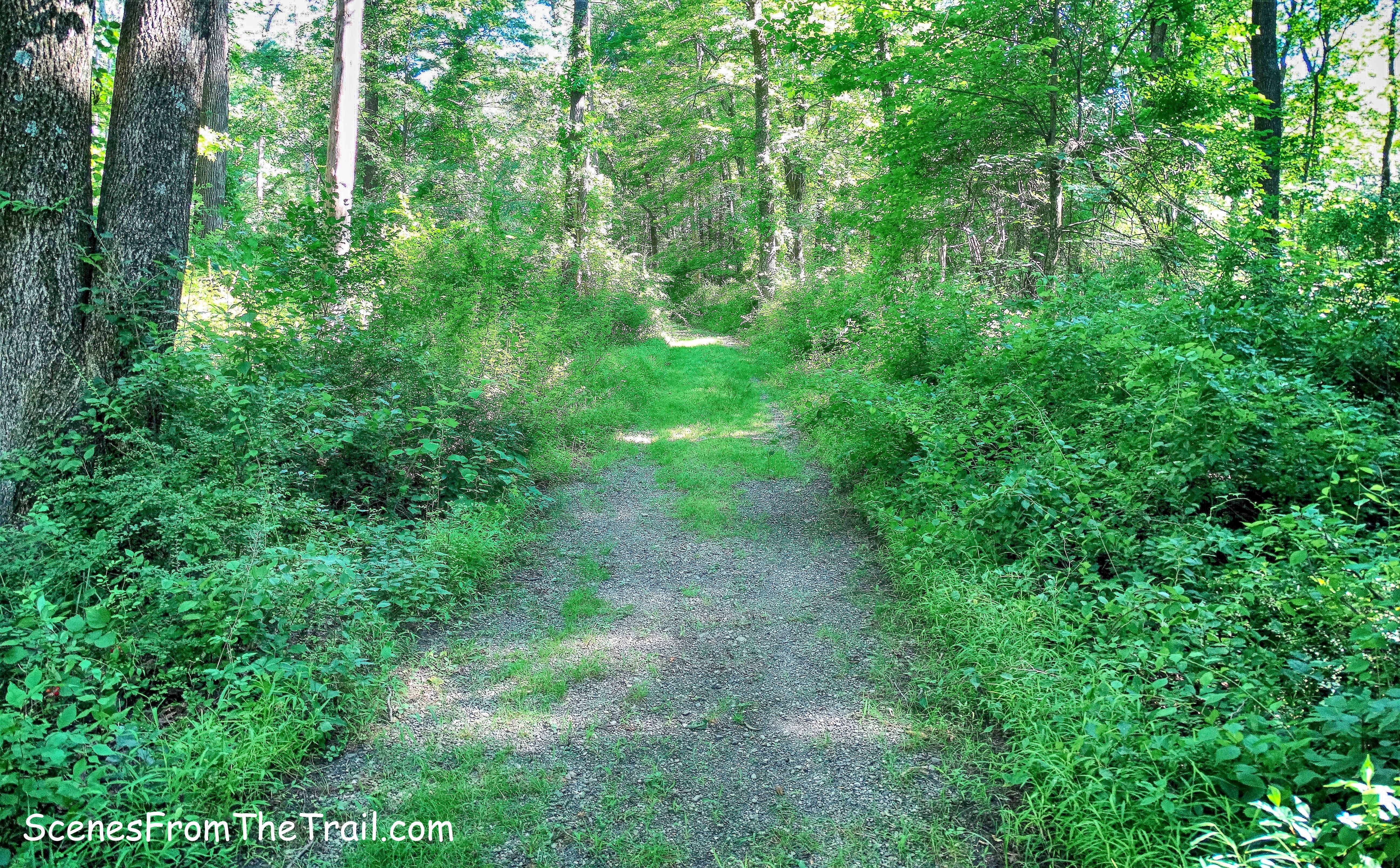 gravel road- Anthony Wayne Recreation Area
