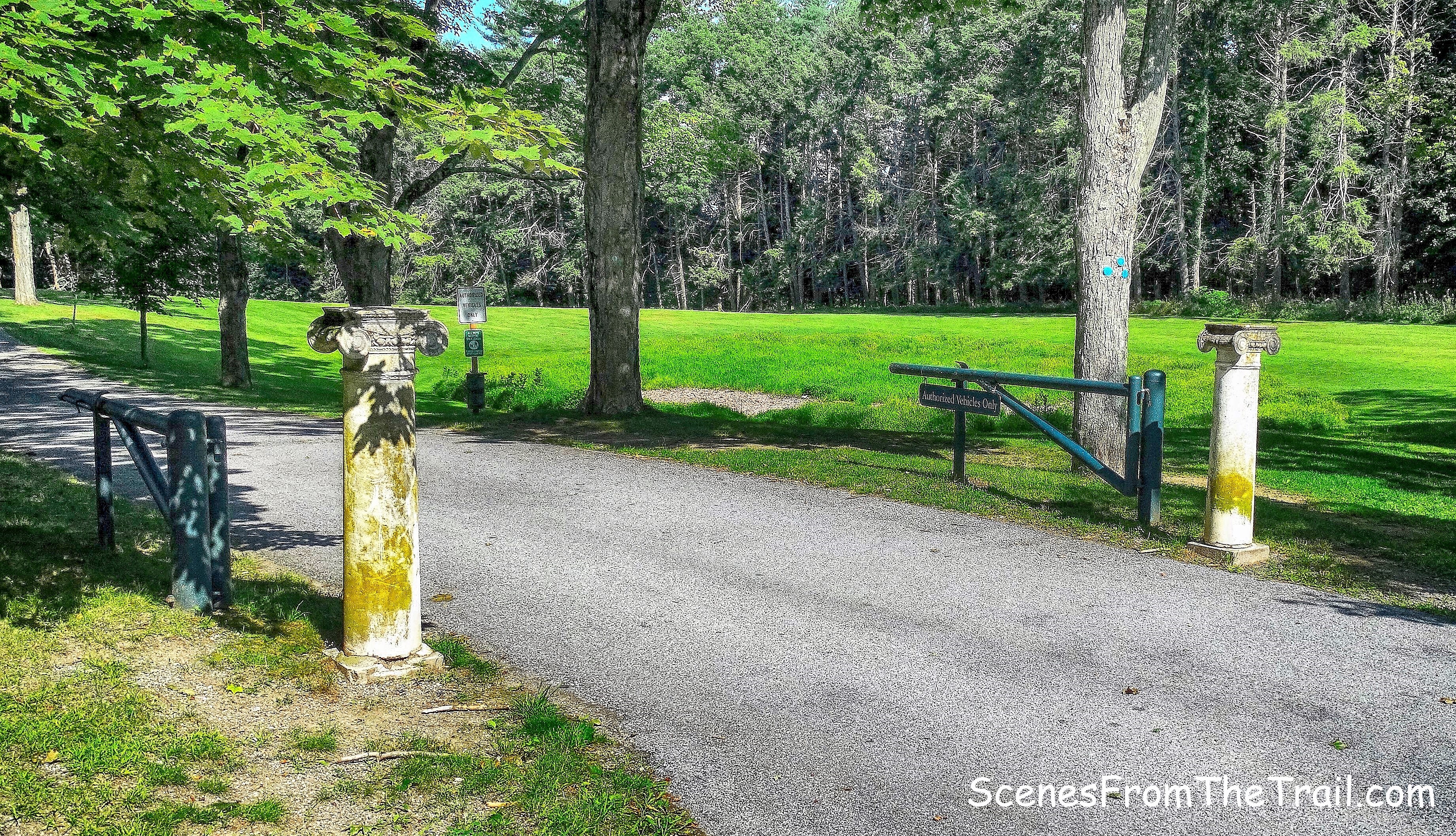 beginning of the blue-blazed trail