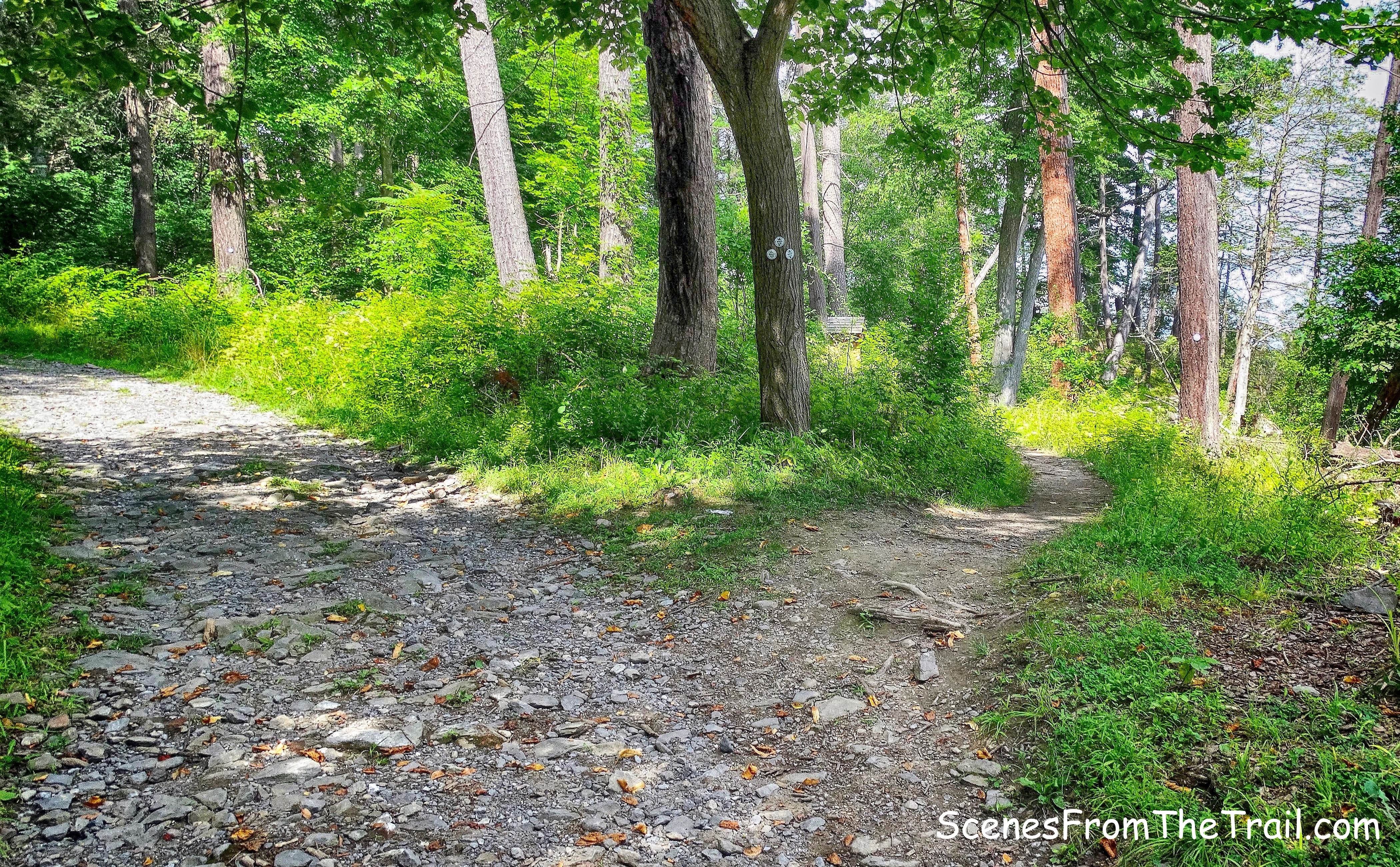 veer right on the white-blazed River Trail