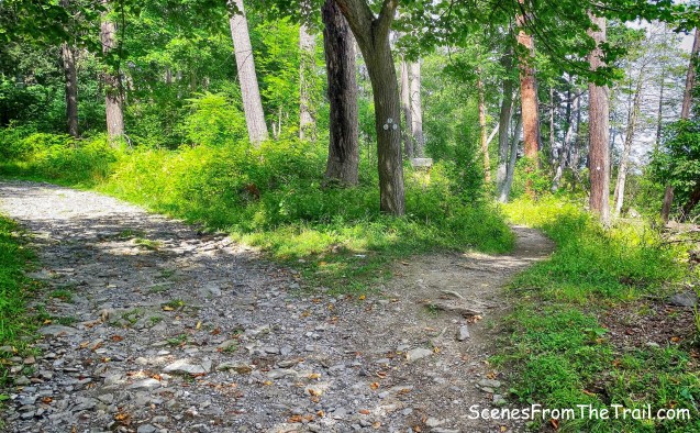 veer right on the white-blazed River Trail