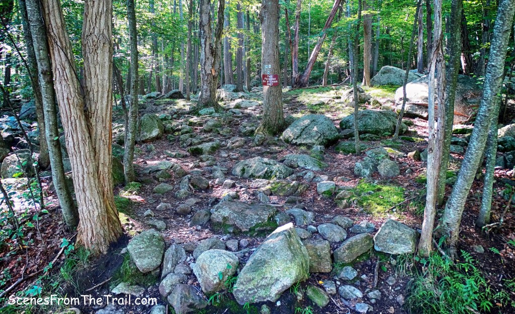 Diamond Mountain Loop from Lake Sebago Boat Launch Harriman State Park